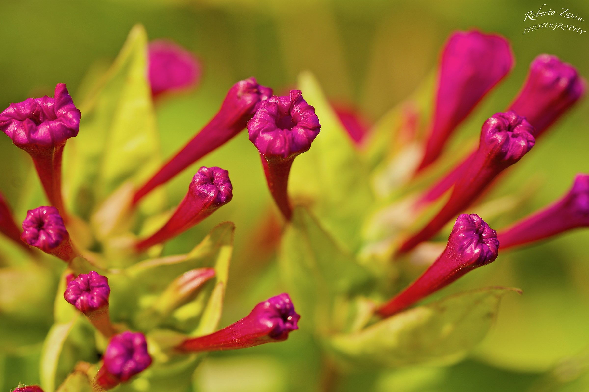 Beautiful at night ... by day