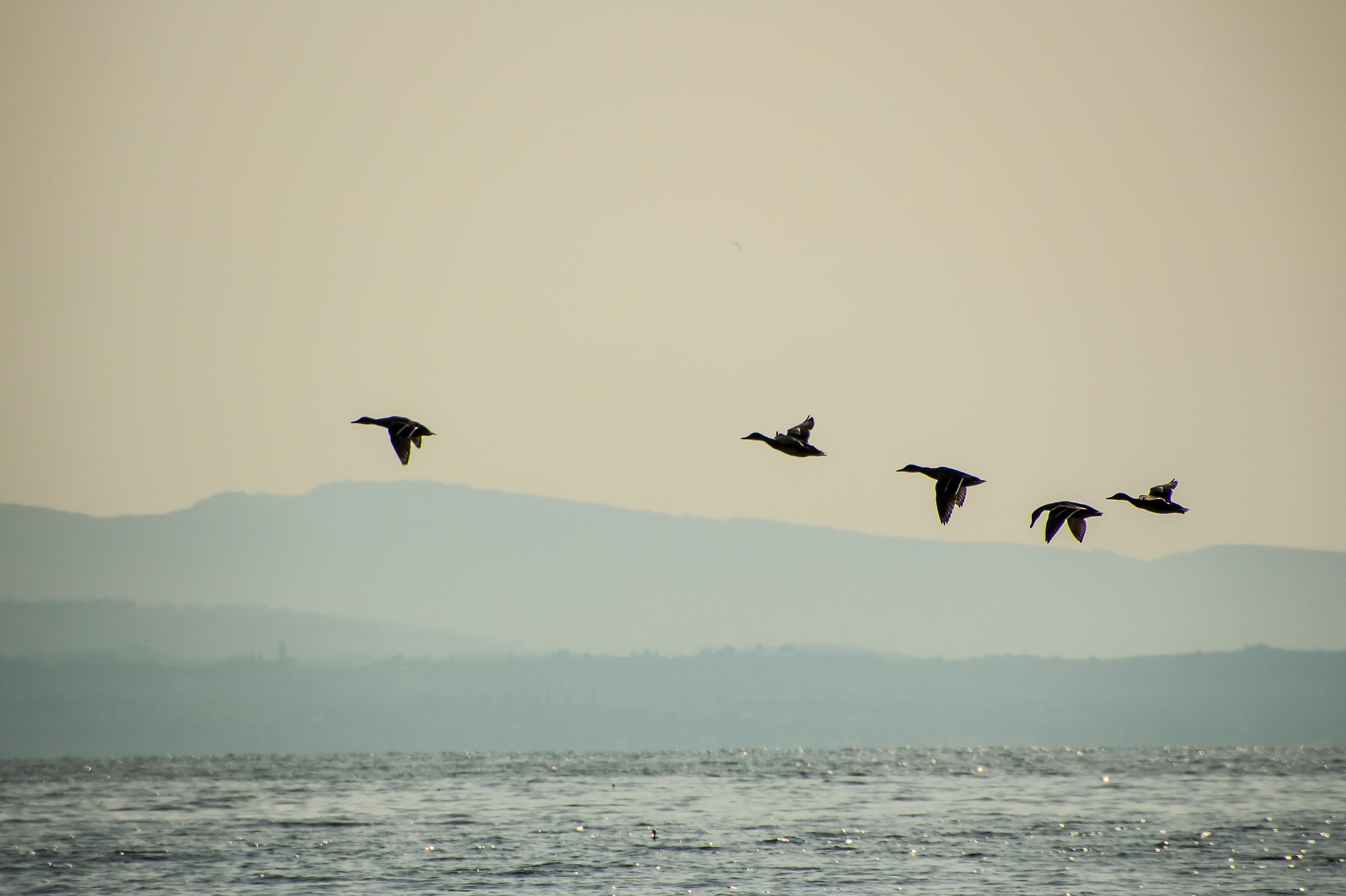 Soft colors Garda Lake