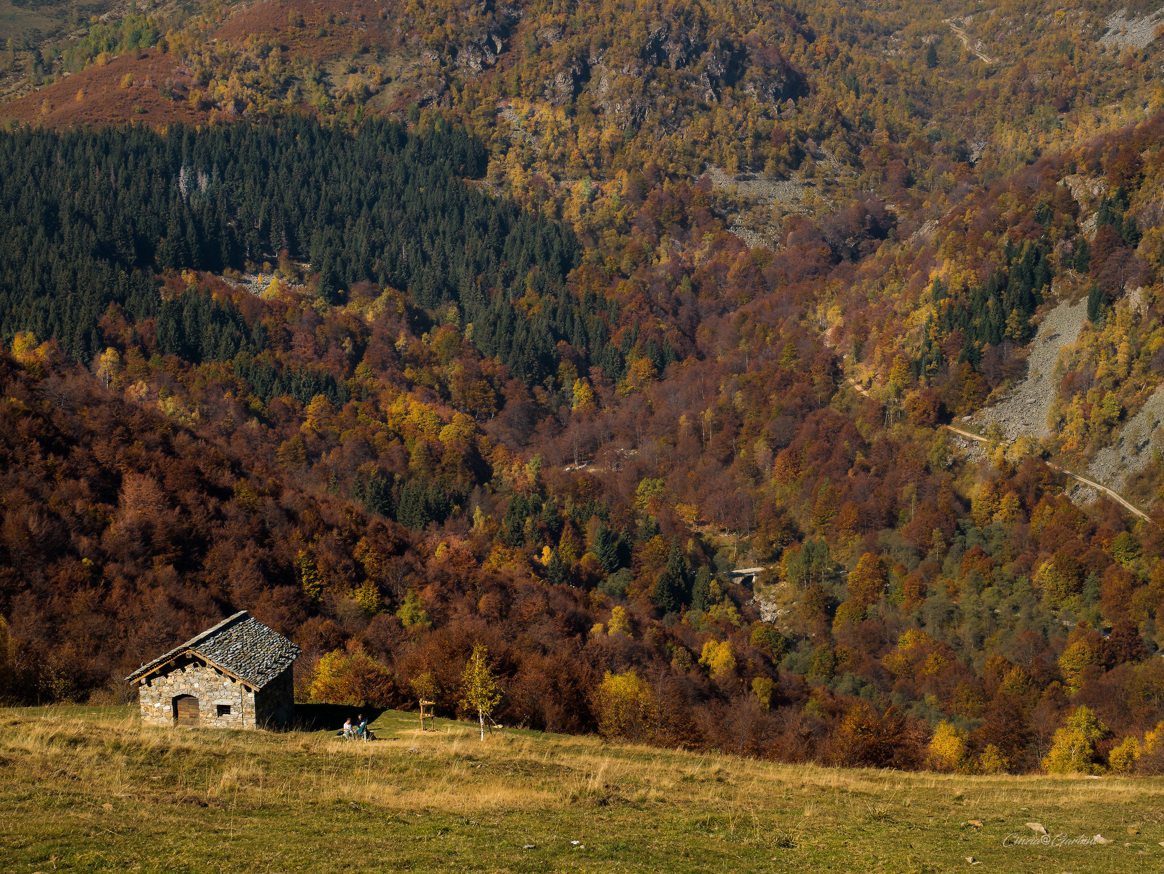 autumn in the valley