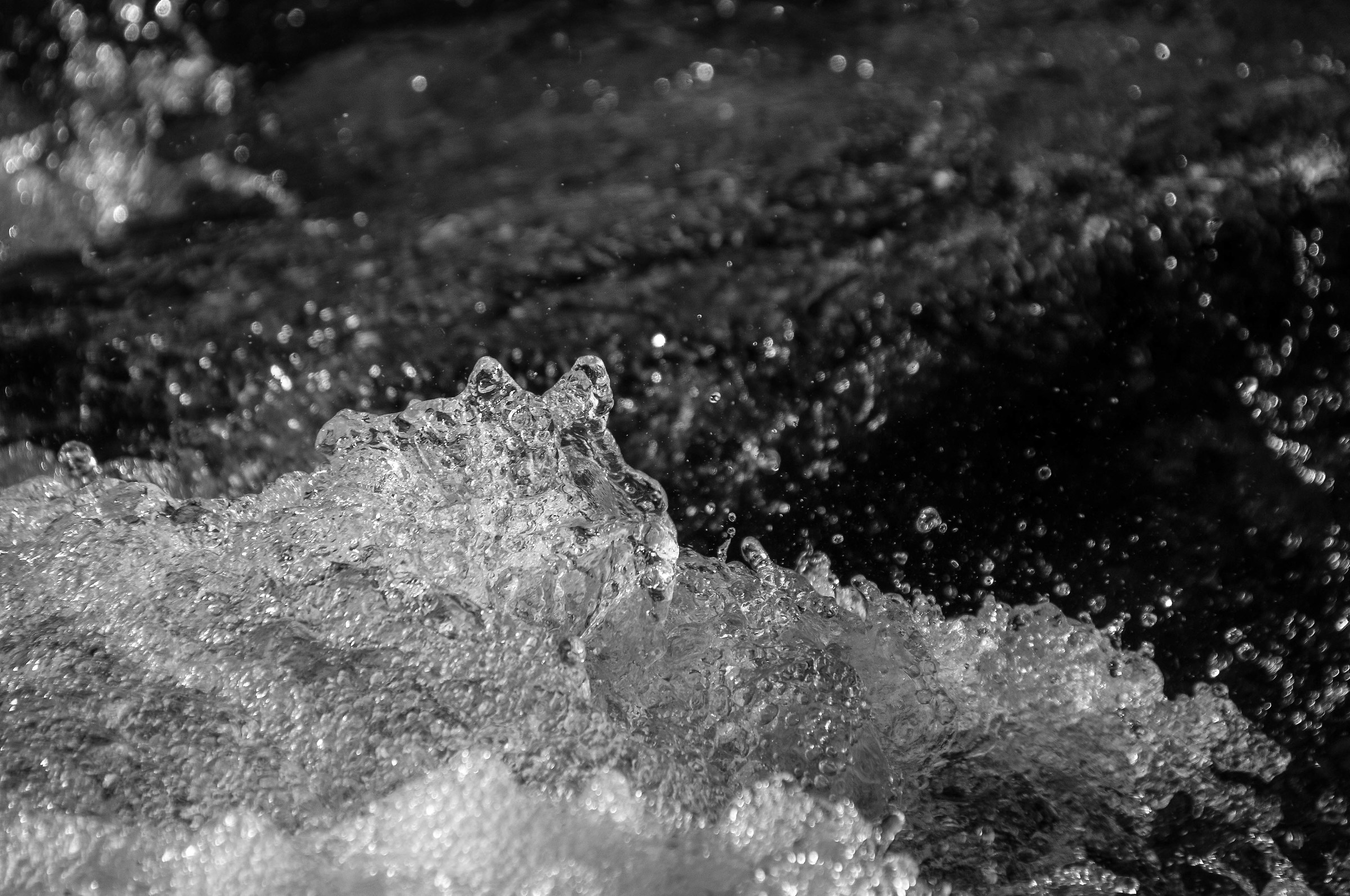 we freeze the movement