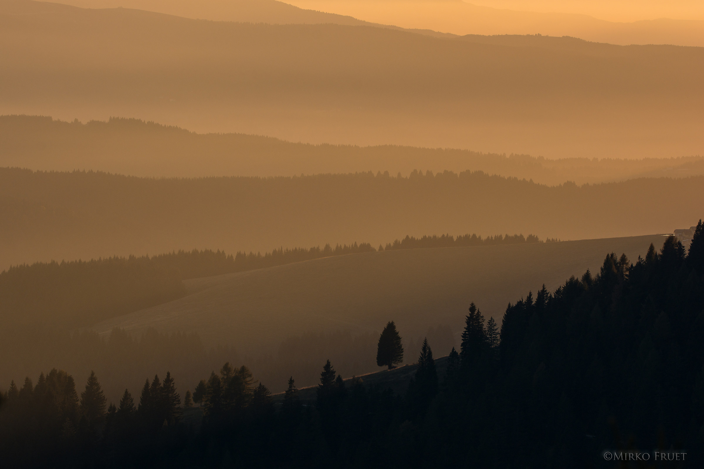 Accompanied by the last lights