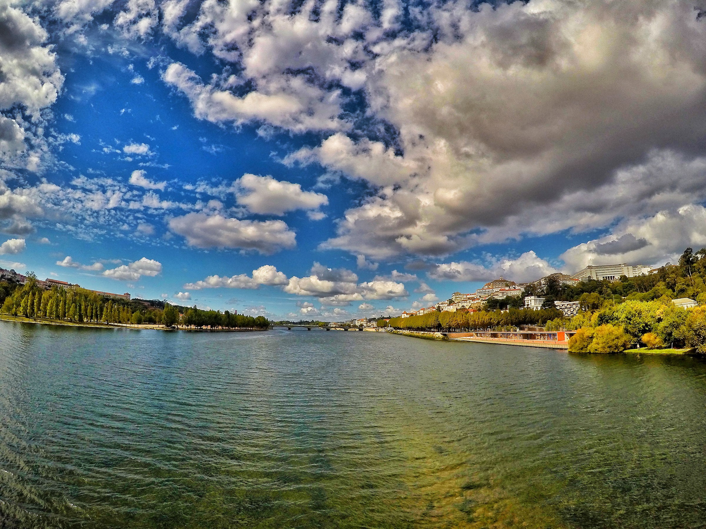 the river of coimbra