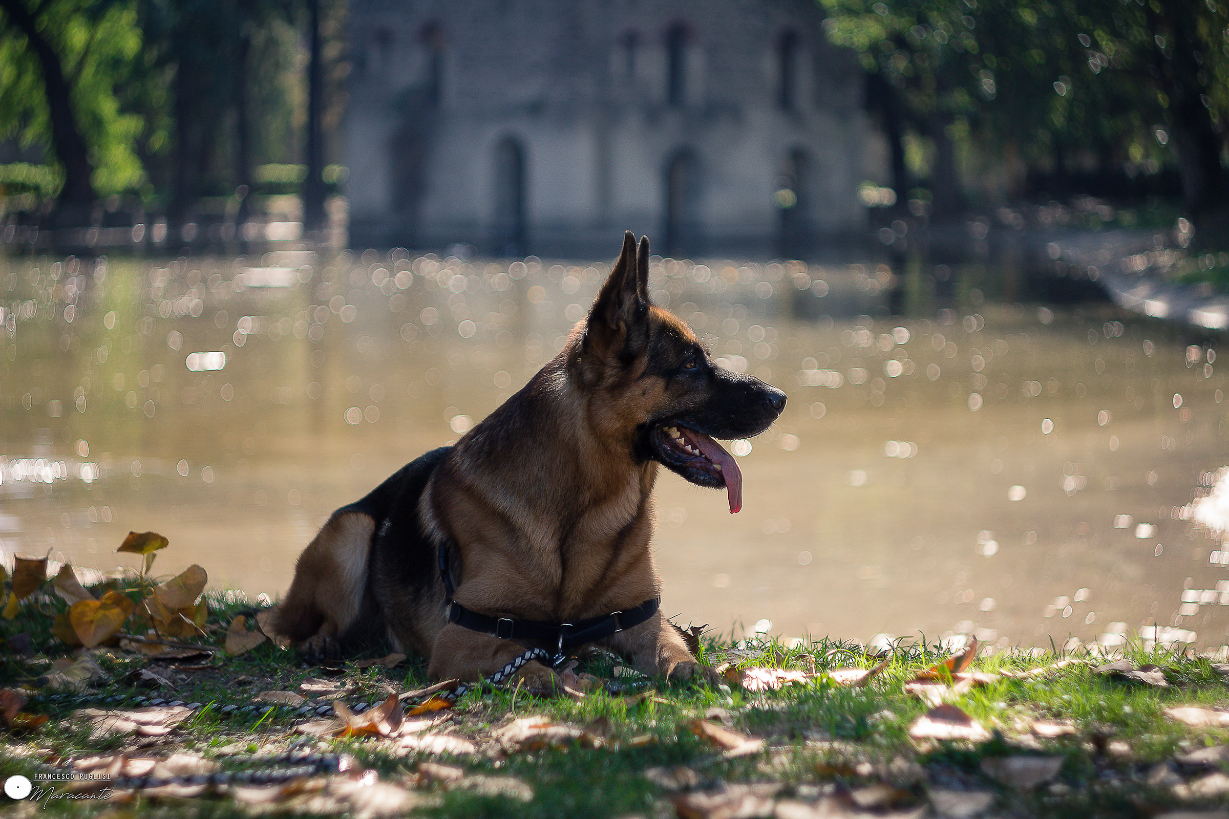 Bellezza e consapevolezza...sua