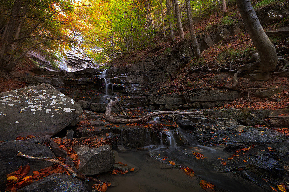 Lavacchiello in autunno