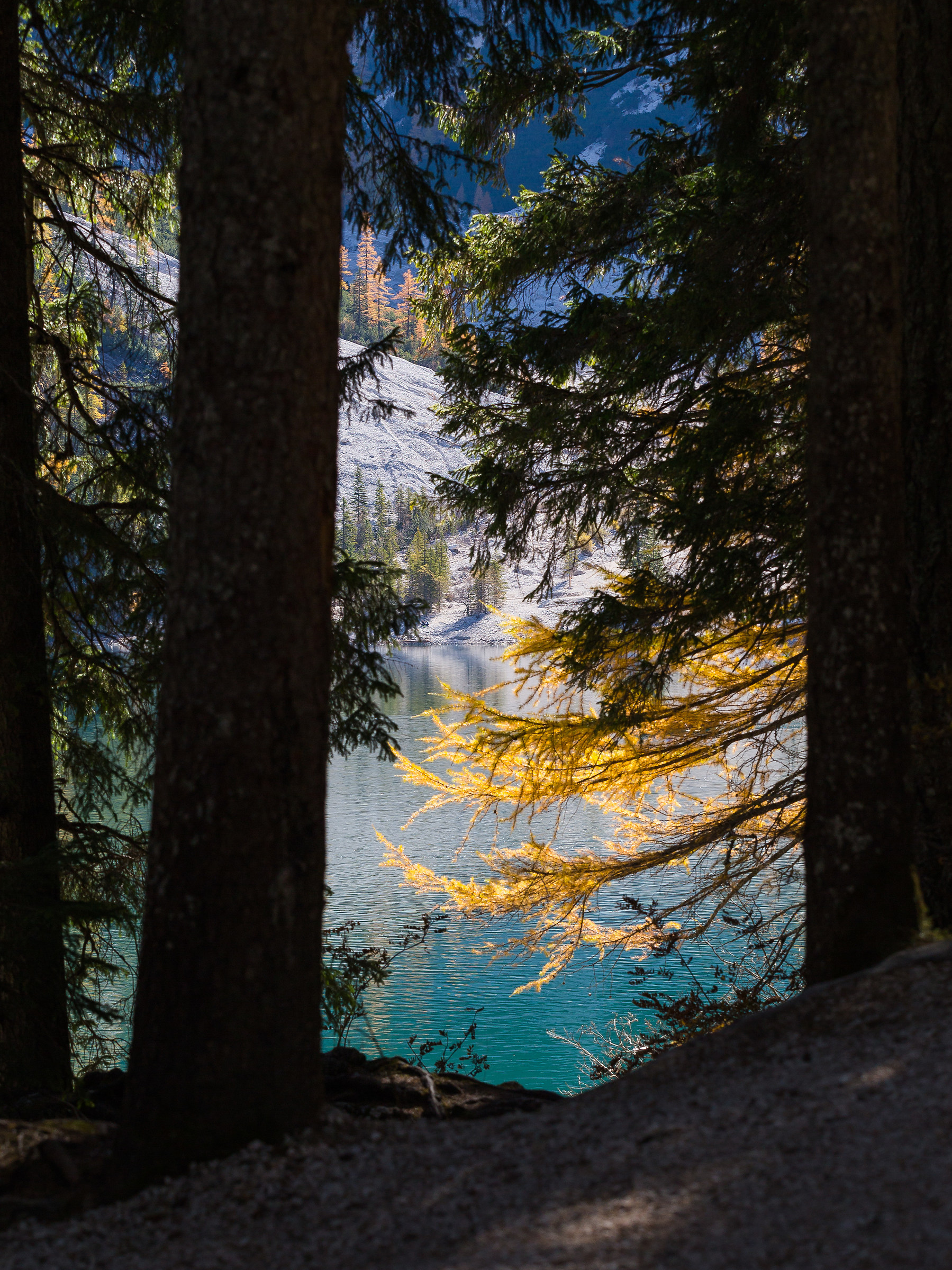 Braies colors