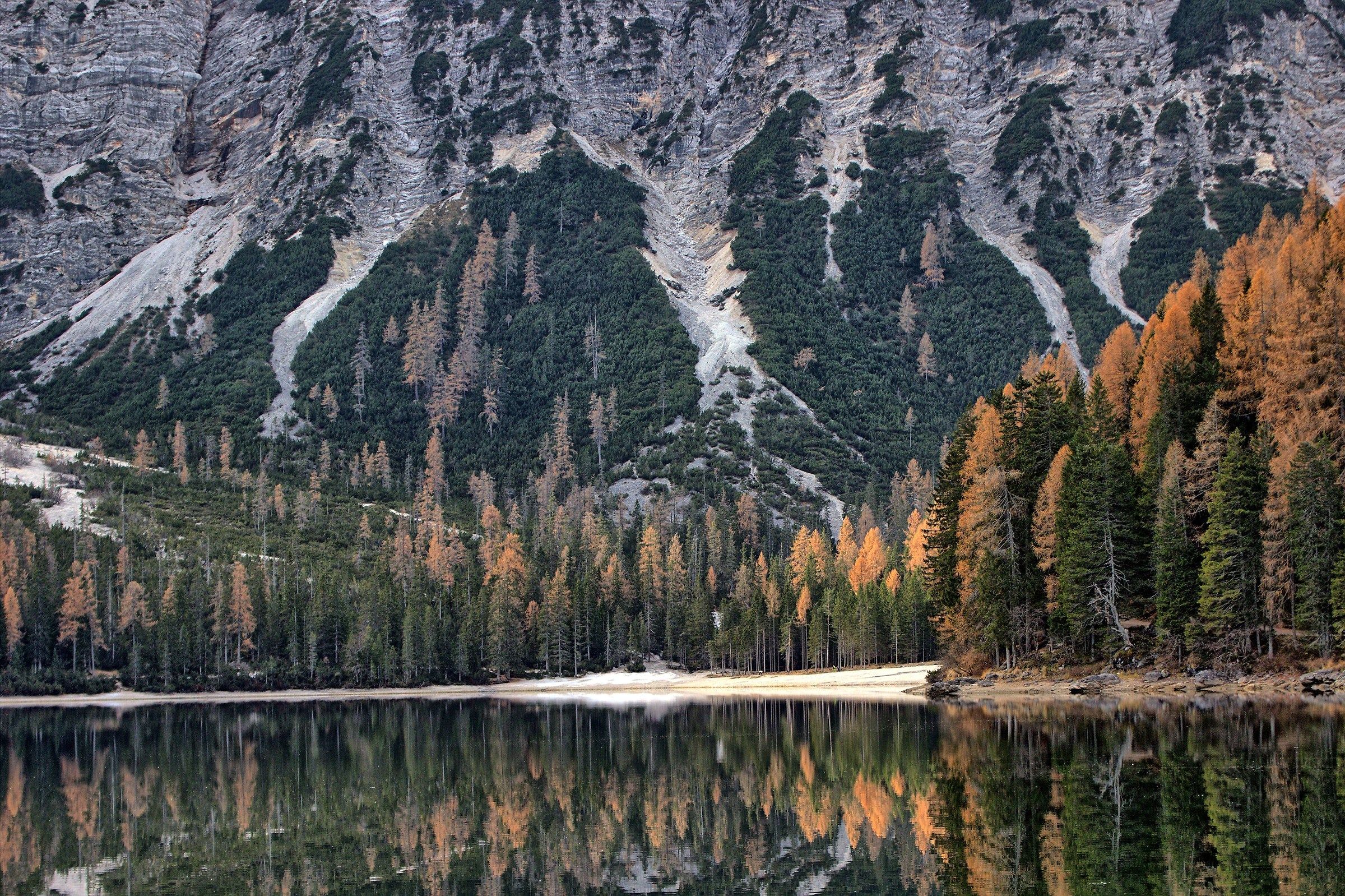 Mirroring in Lake Braies (bz)