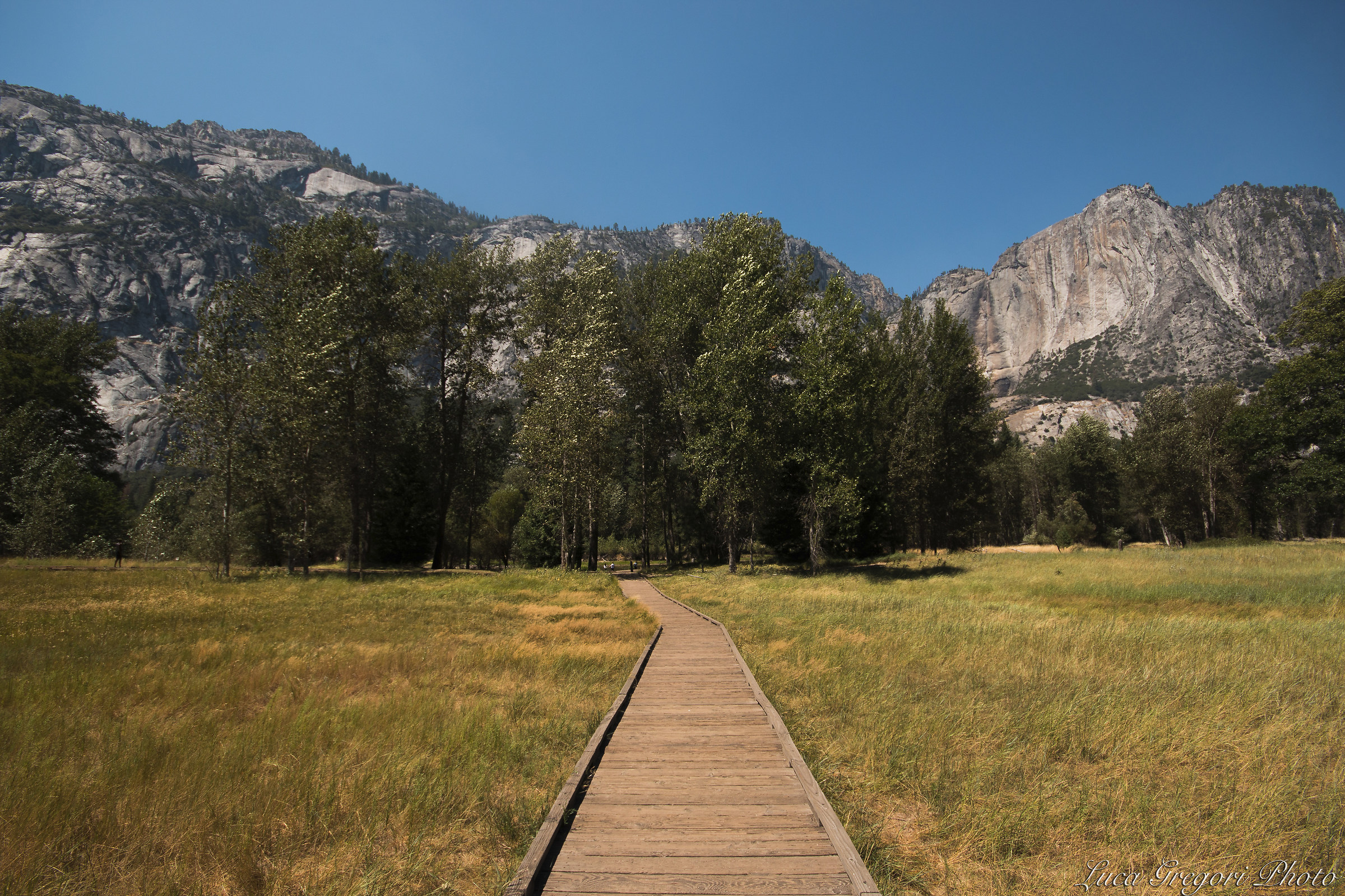 Road to the Mountain