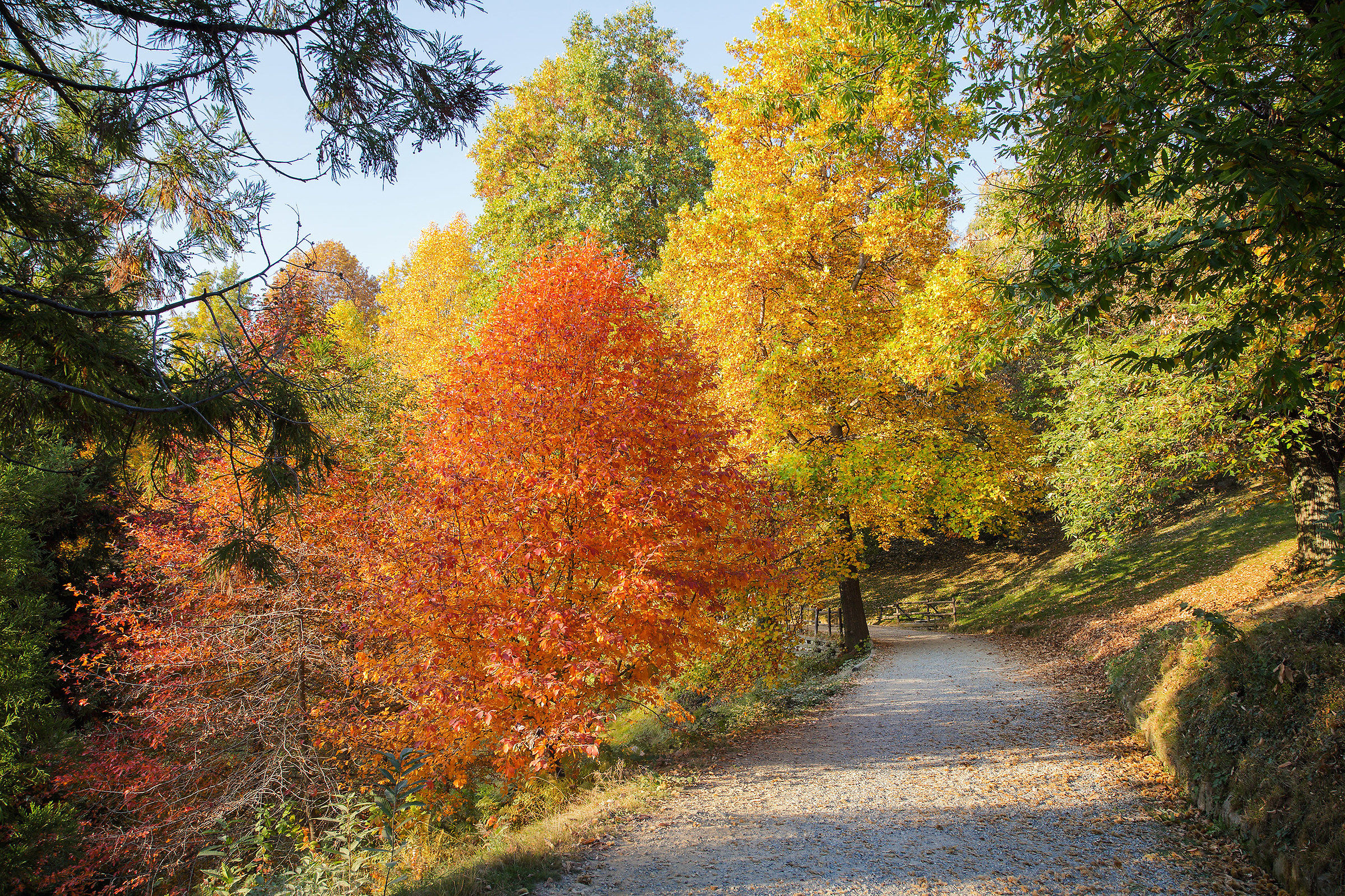 Colors at Burcina Park
