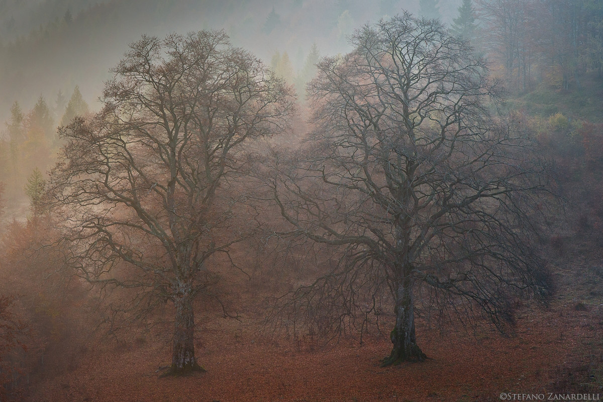 Atmosfere autunnali...