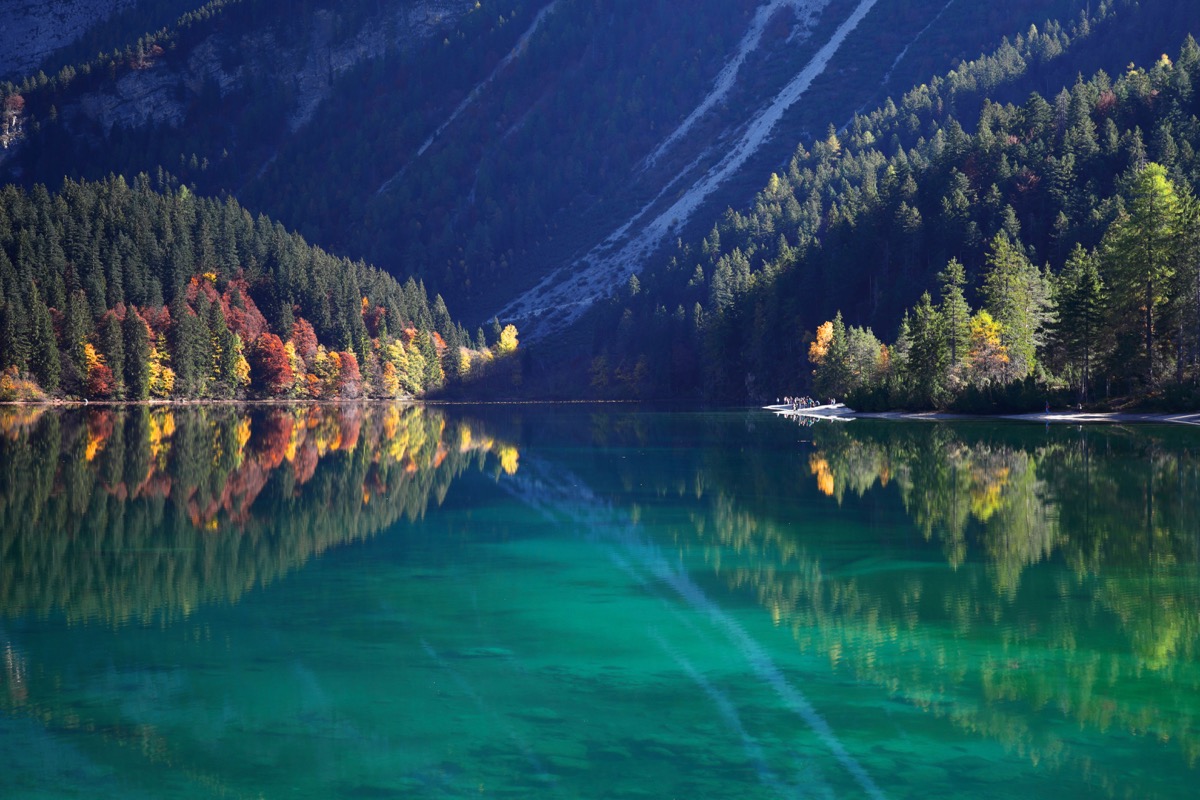 Riflettendo su la natura....