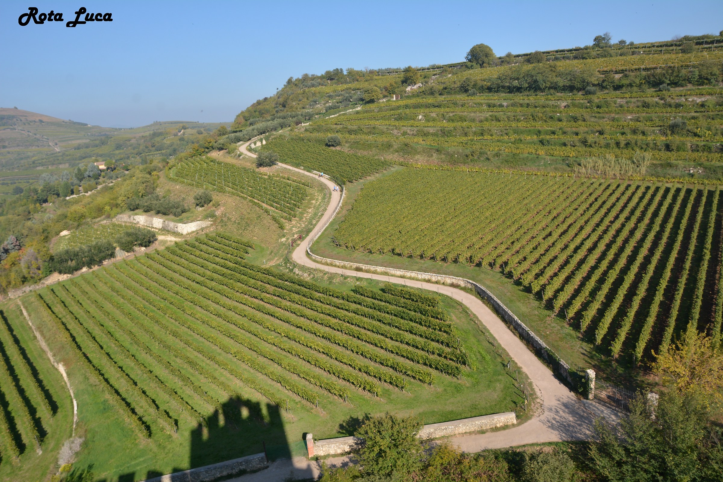Le colline del Soave