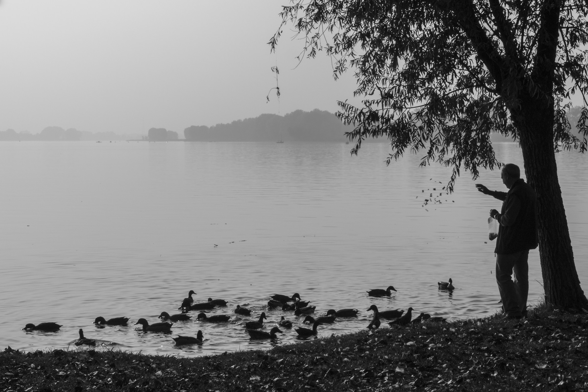 Solitudine o contemplazione?