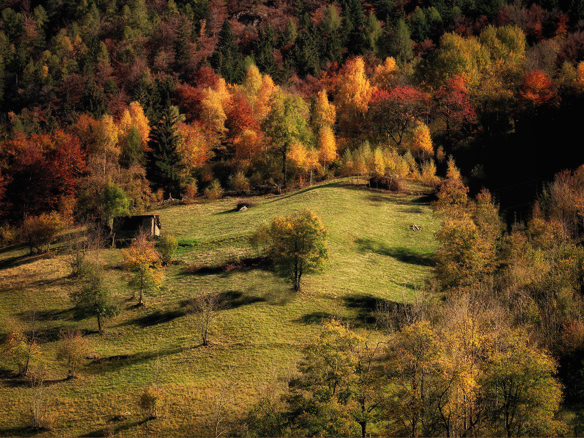 Immergersi nell'autunno