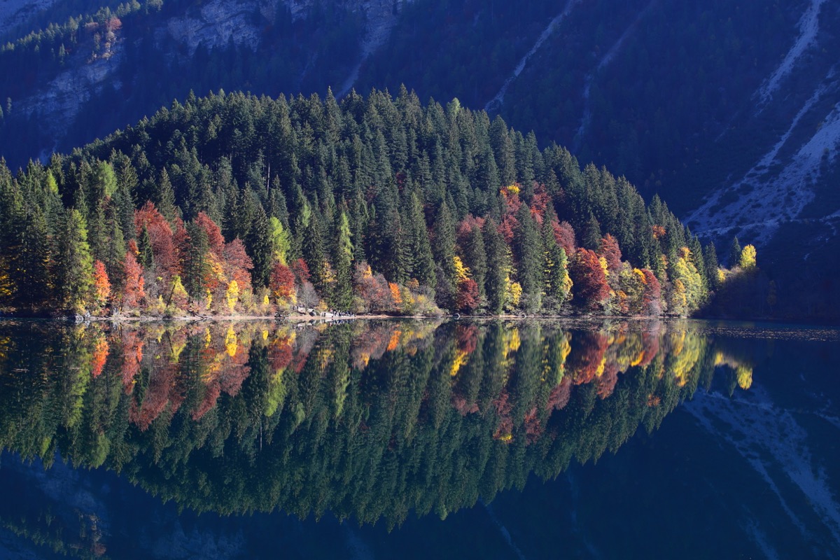 Riflessioni di un entomologo...