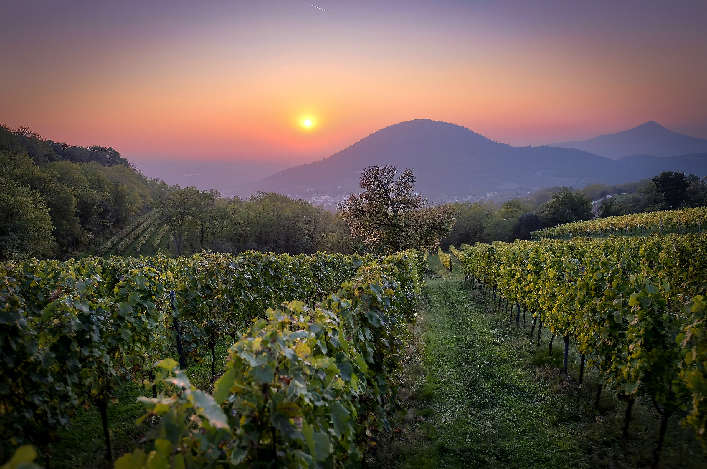 I dolci pendii del Monte Gemola