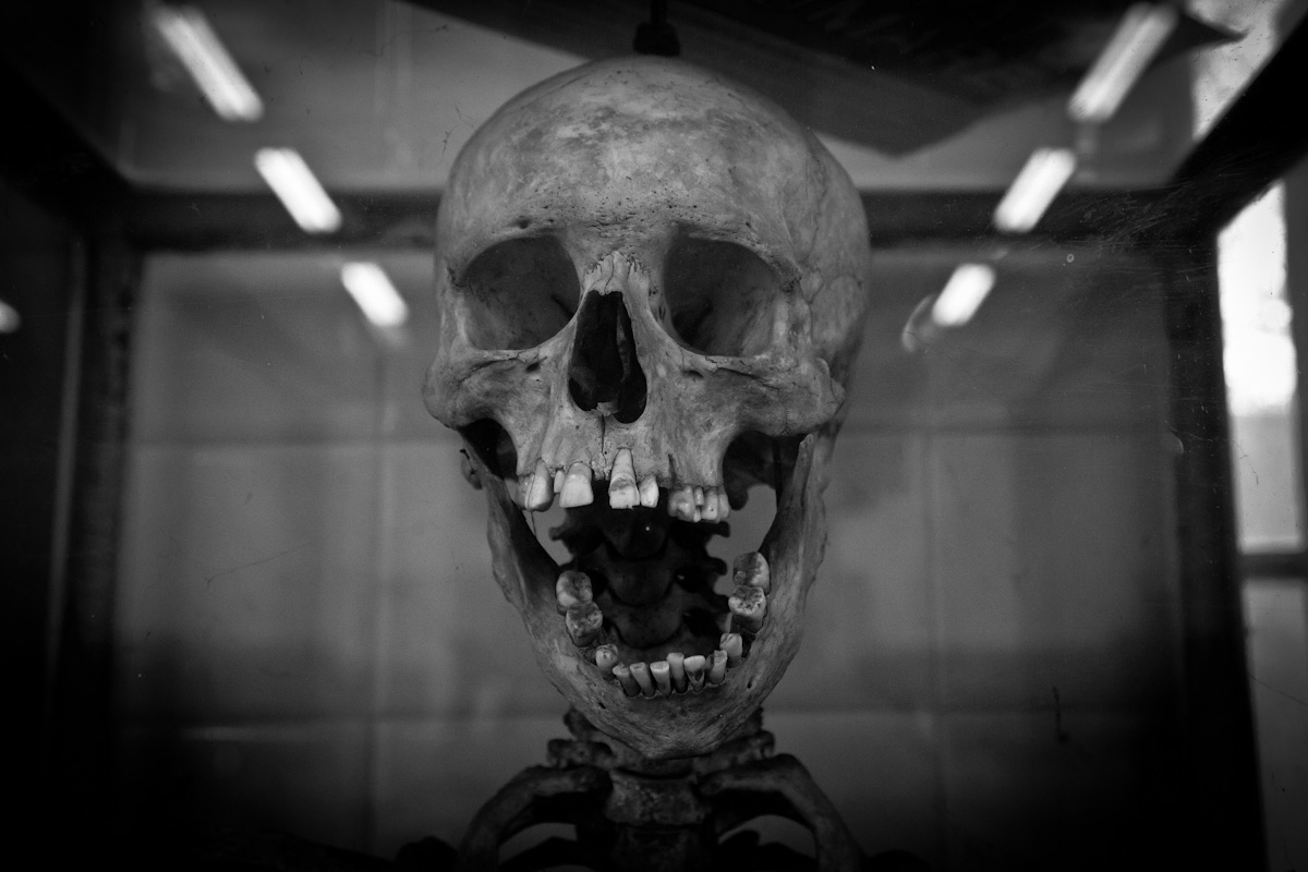 Istituto Anatomia Umana Pavia