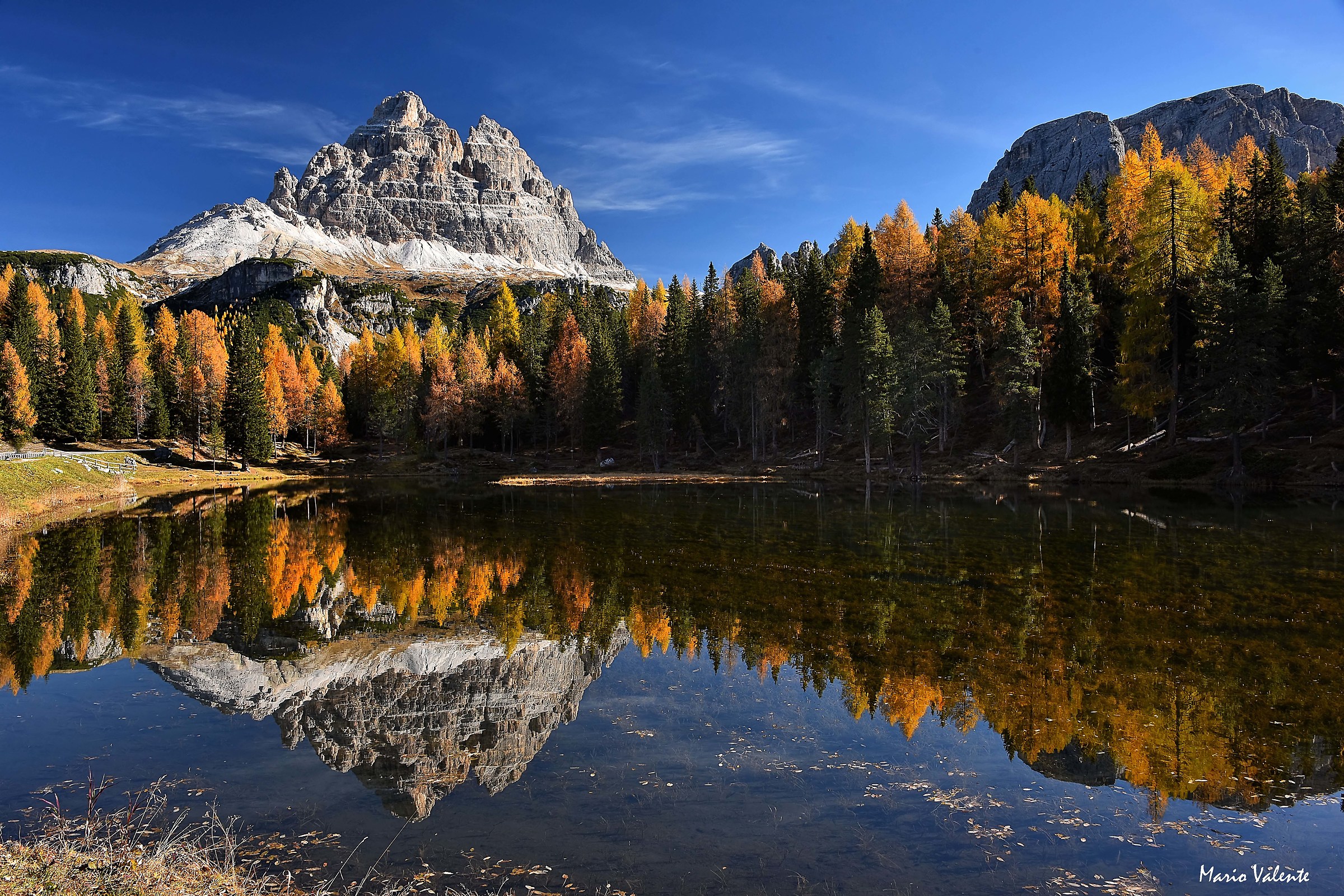 An indispensable autumn event