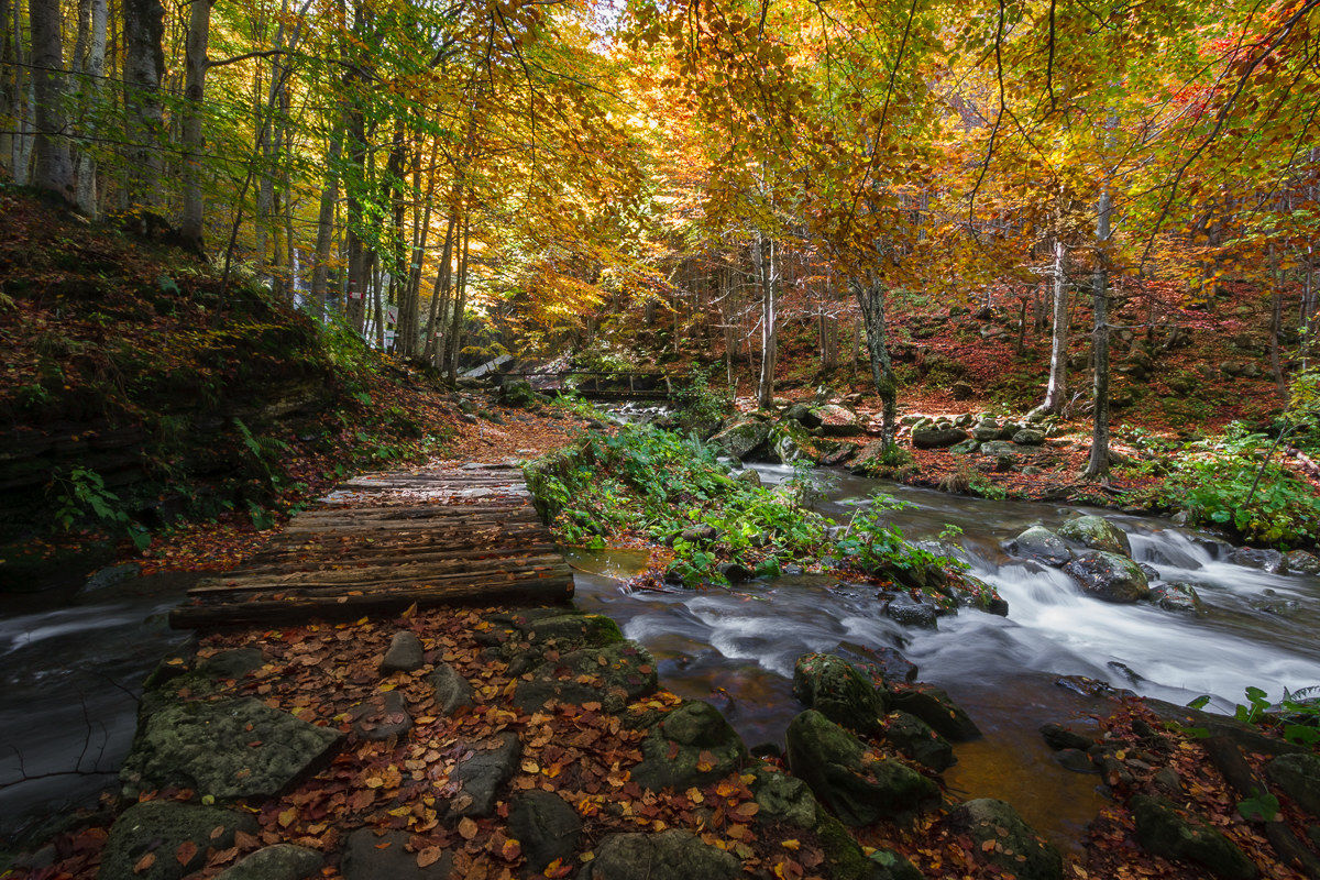 In the heart of autumn ...