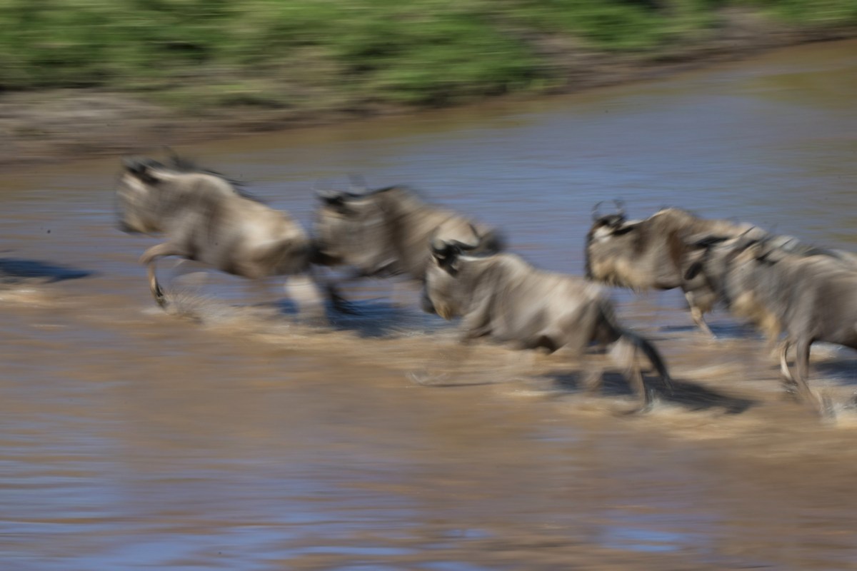 Sand river crossing - panning