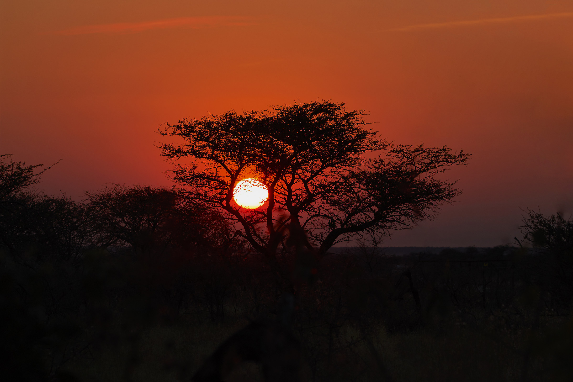 African sunrise