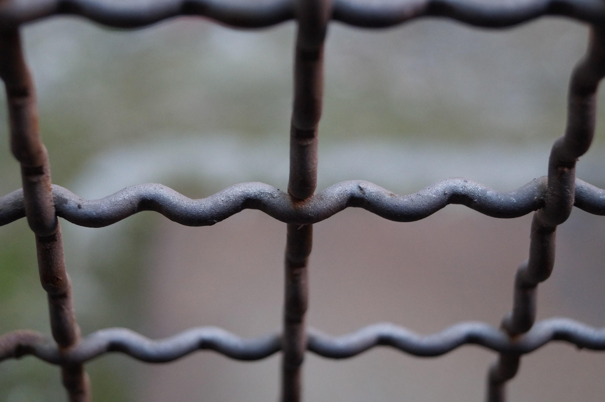 Desderio di libertà