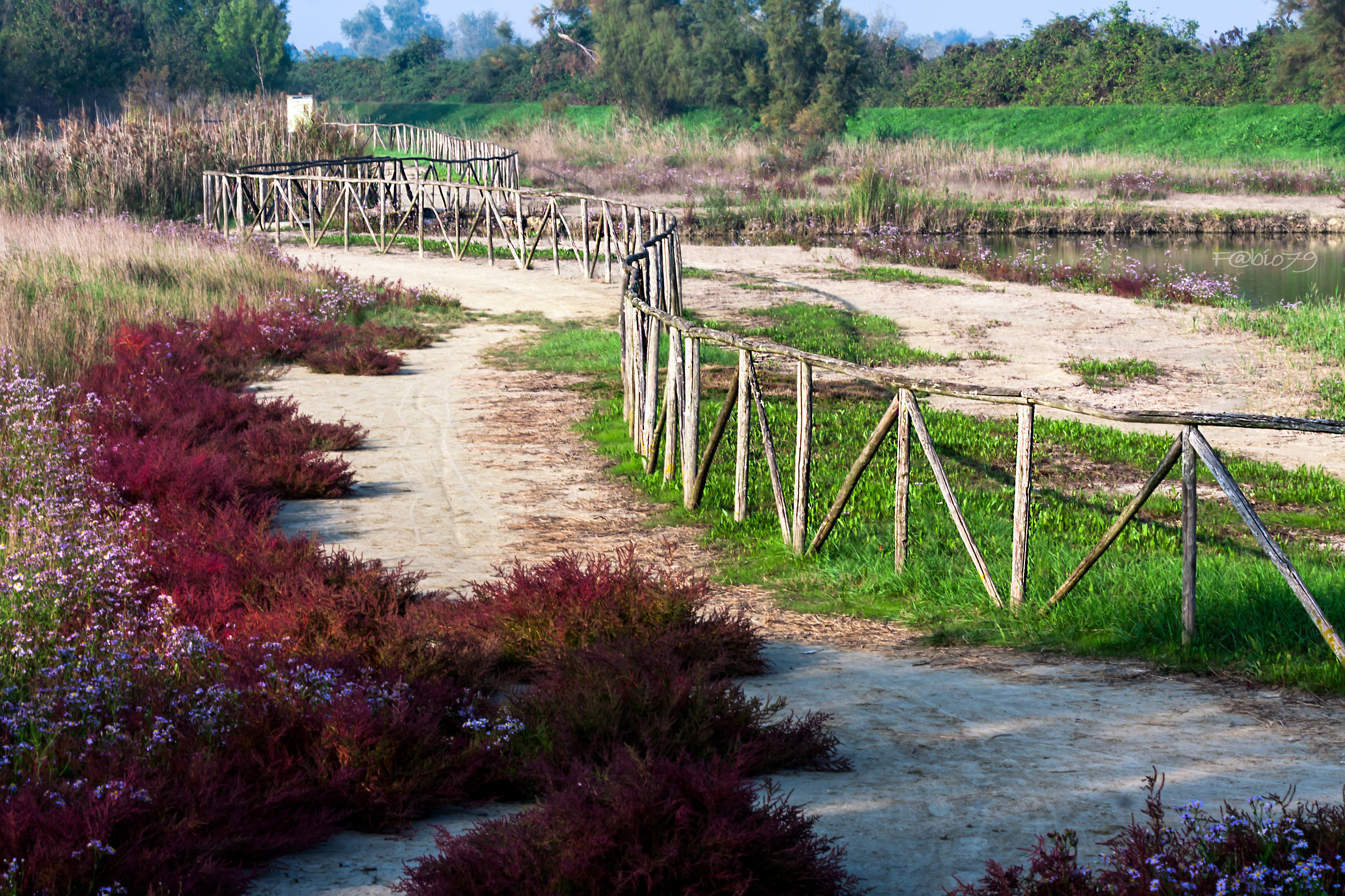 Italian Autumn Trails