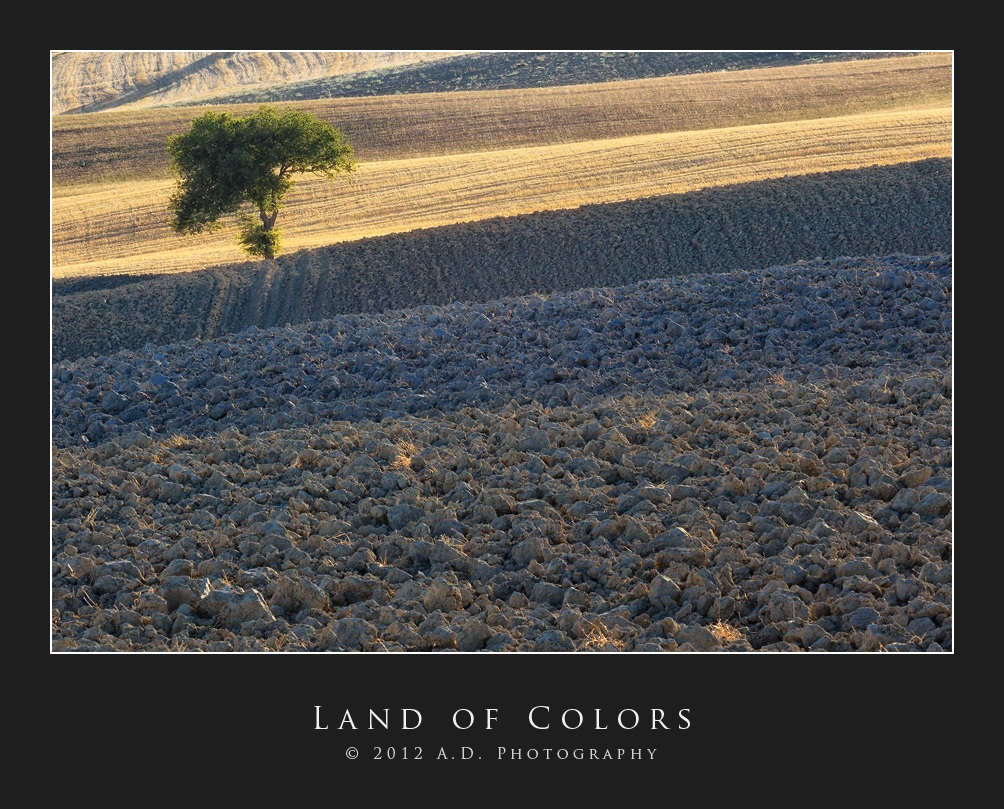 Land of Colors 2
