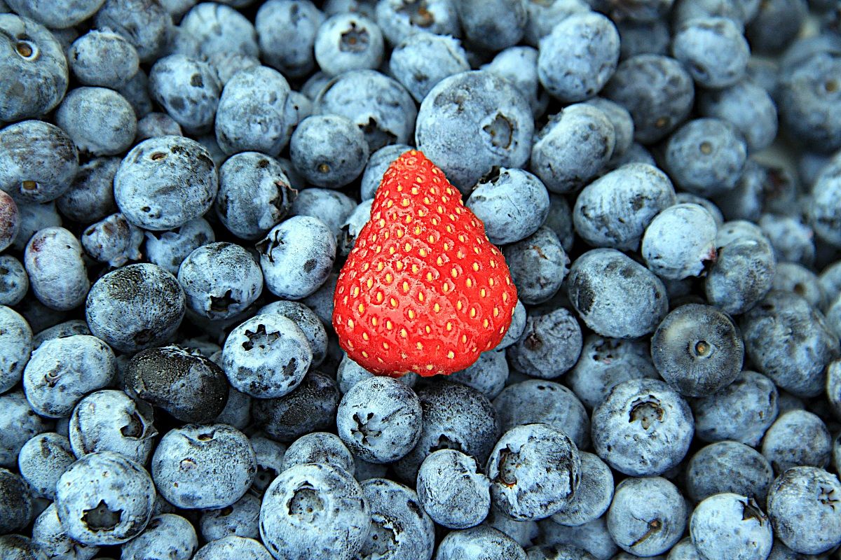 Alone in a blue world