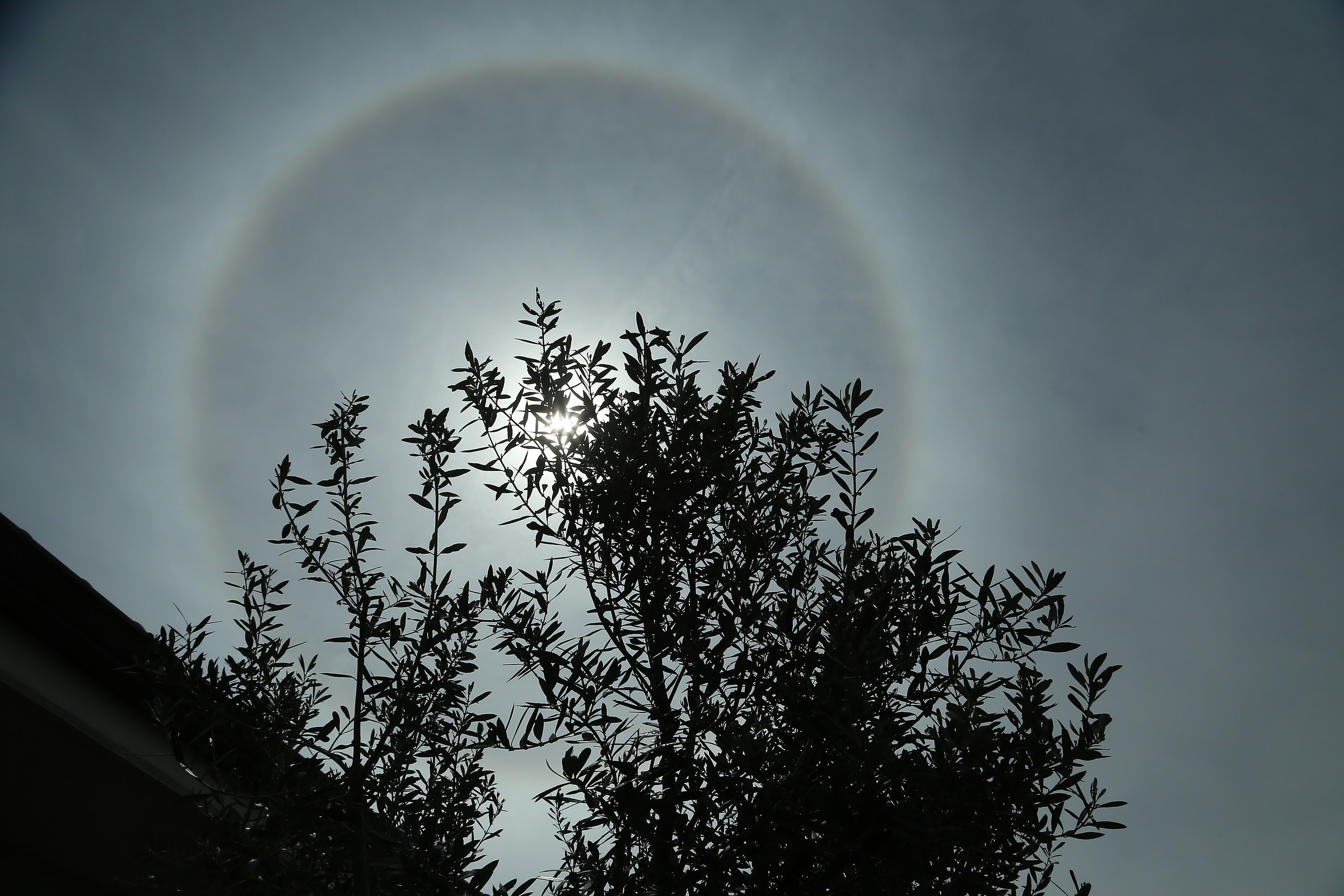 Sole un pochino strano