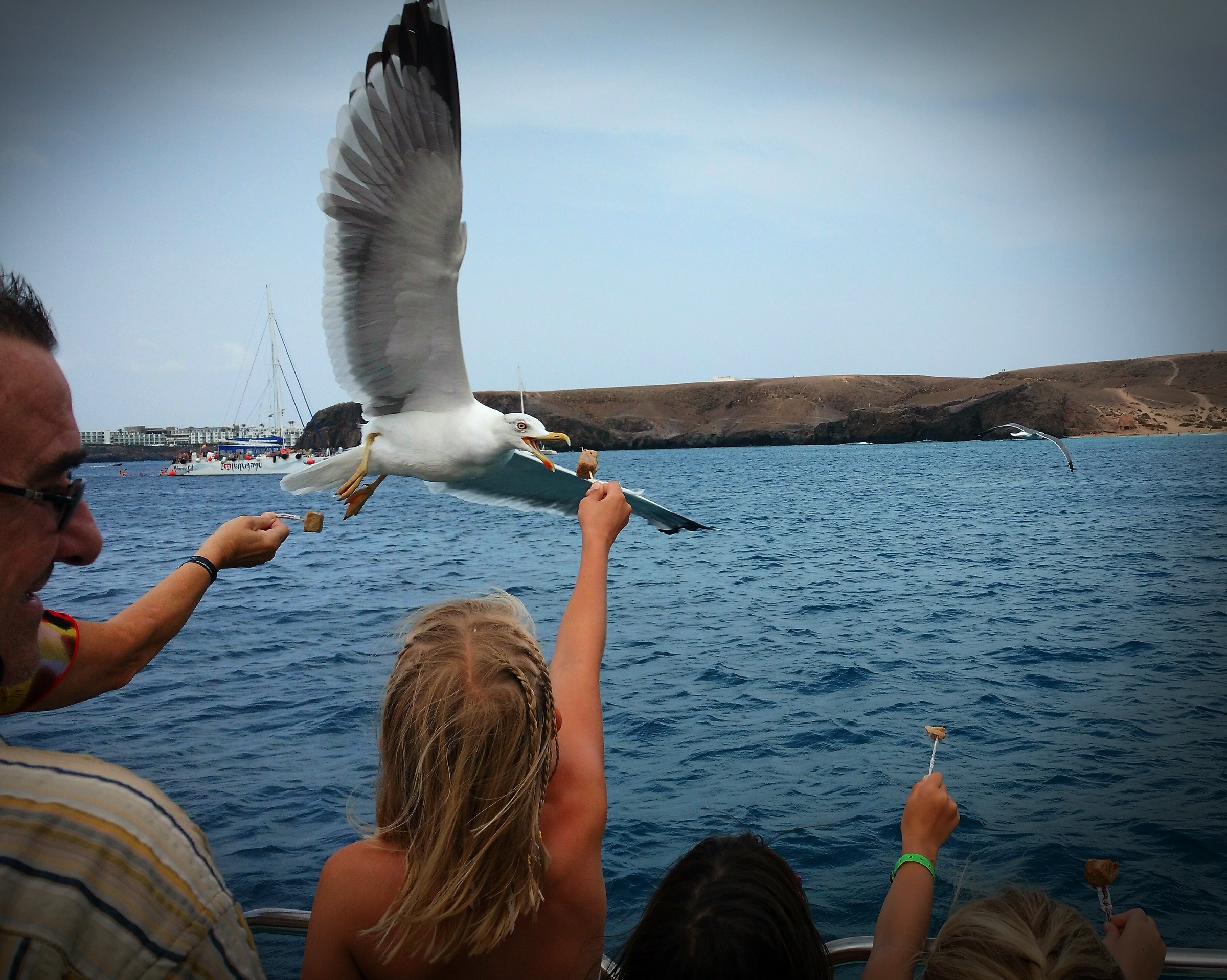 Pranzo al volo? Perché no!