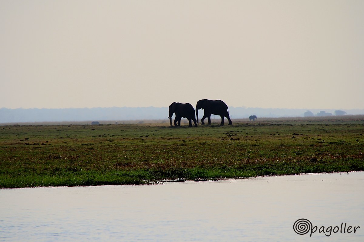 Acqua, terra, aria, natura