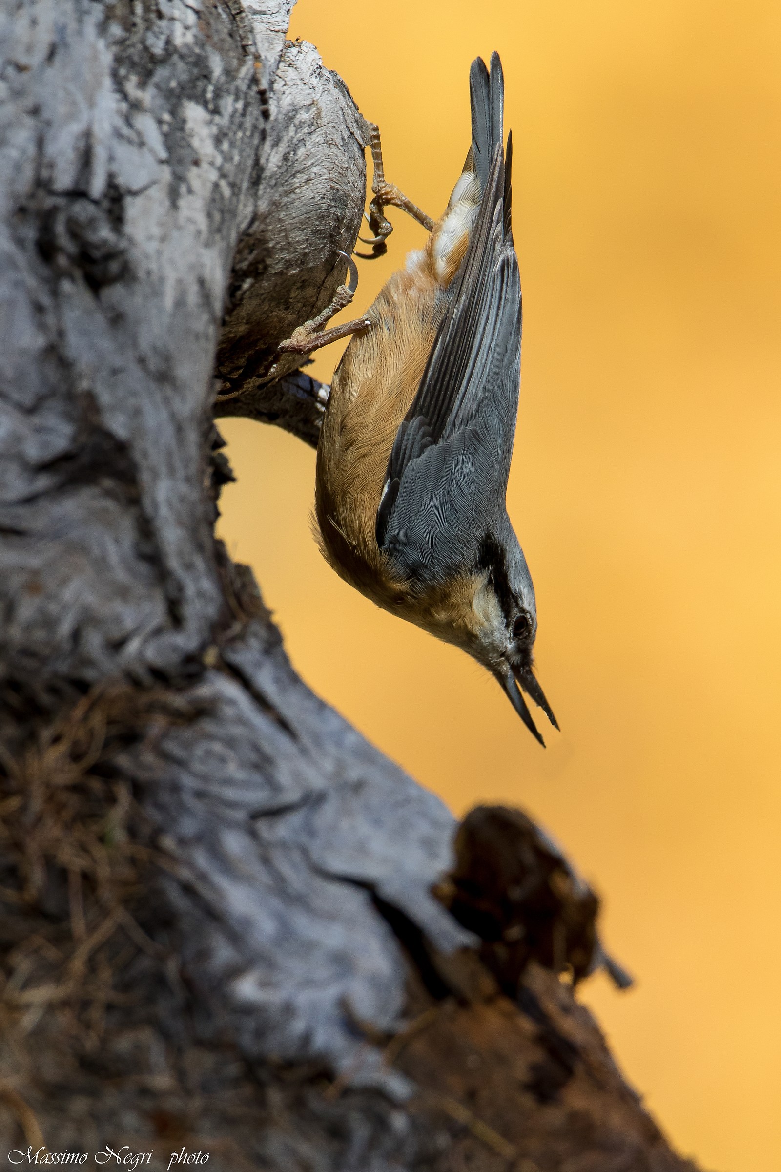 bricklayer ,, val roseg
