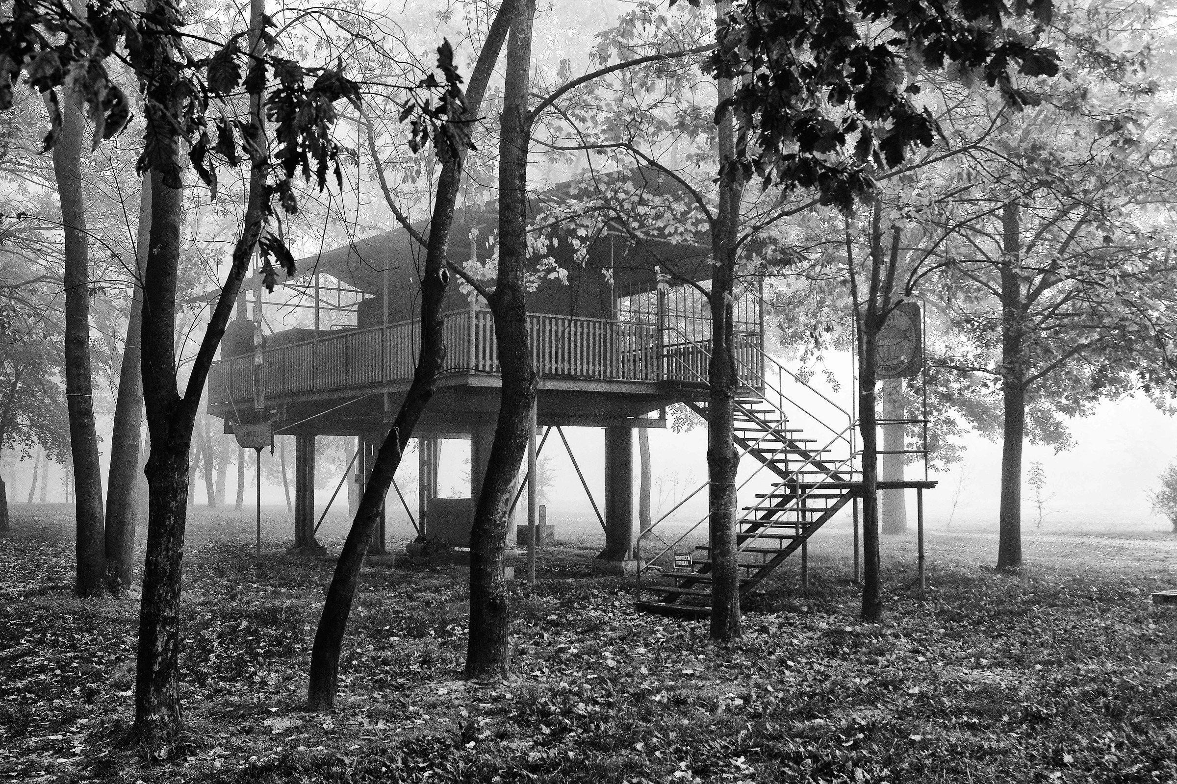 Fog at Lido Po of Luzzara