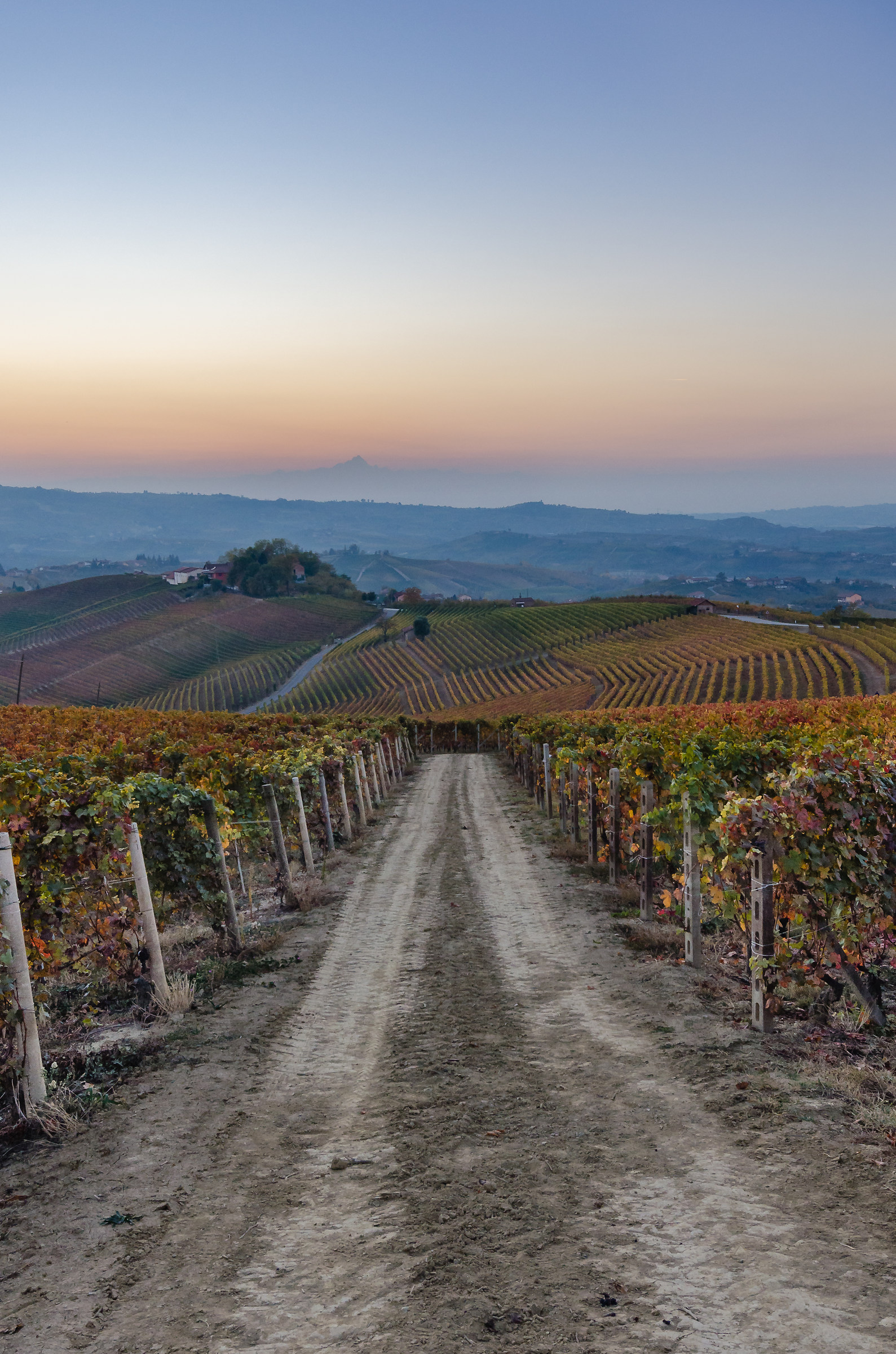 Segui il tuo sentiero