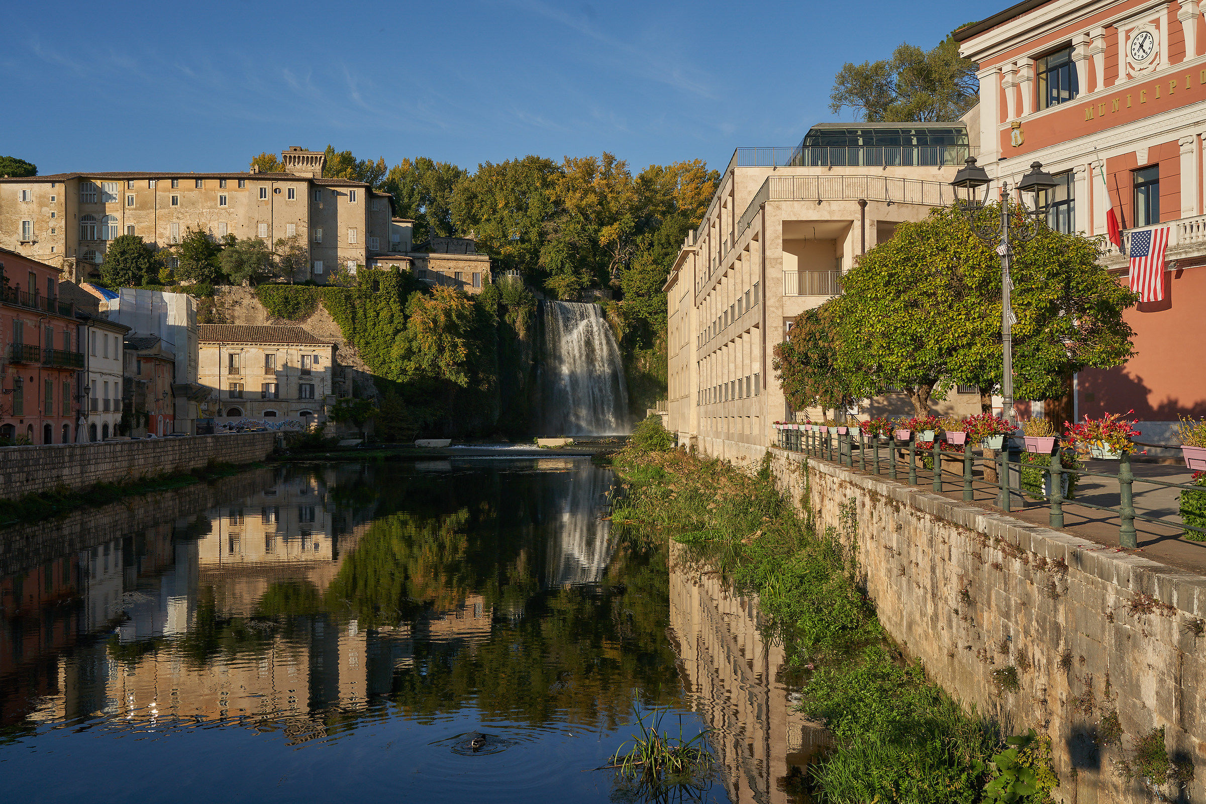 Water Lily (Island of Liri)