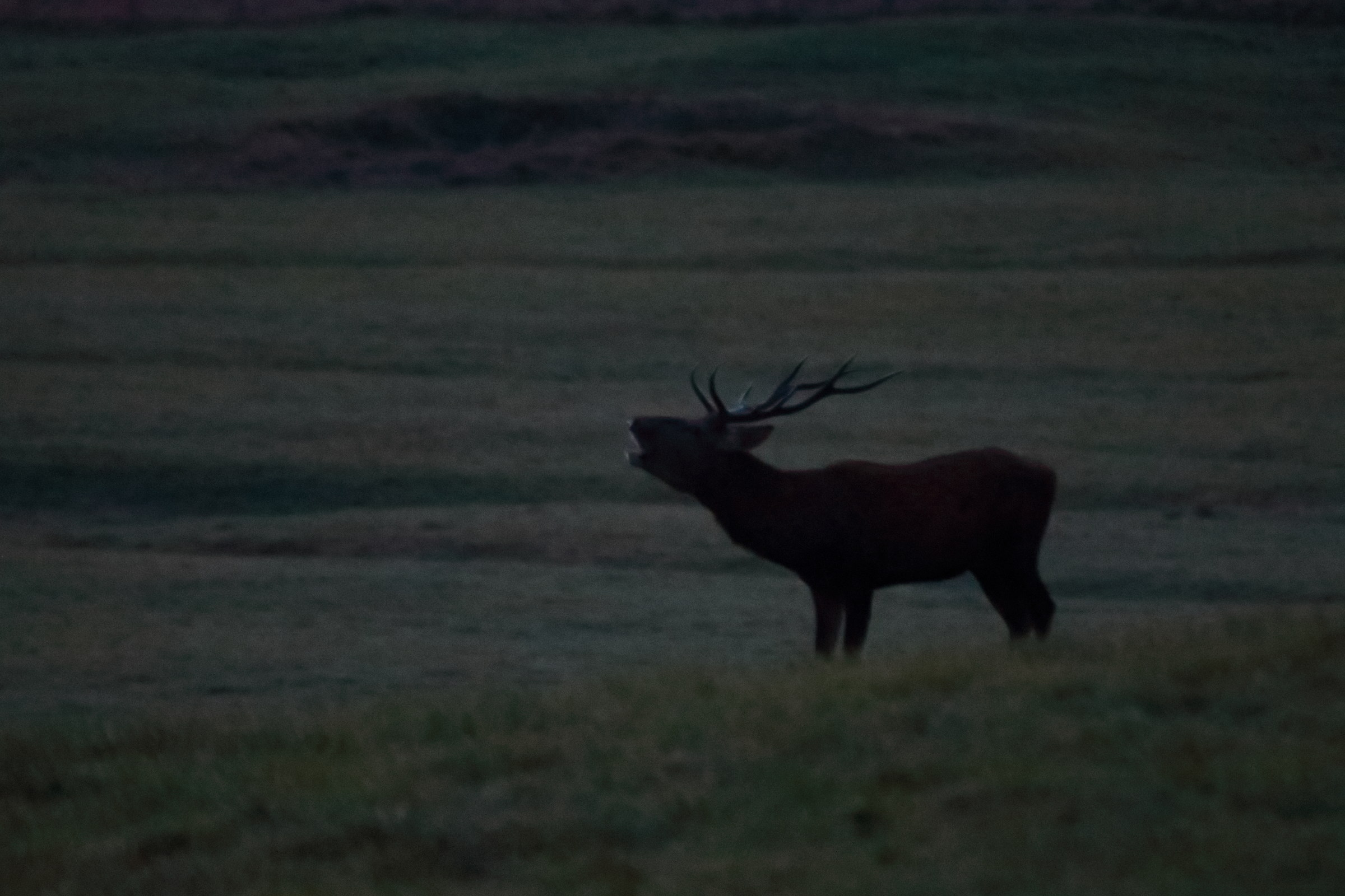 Cala in the evening ....
