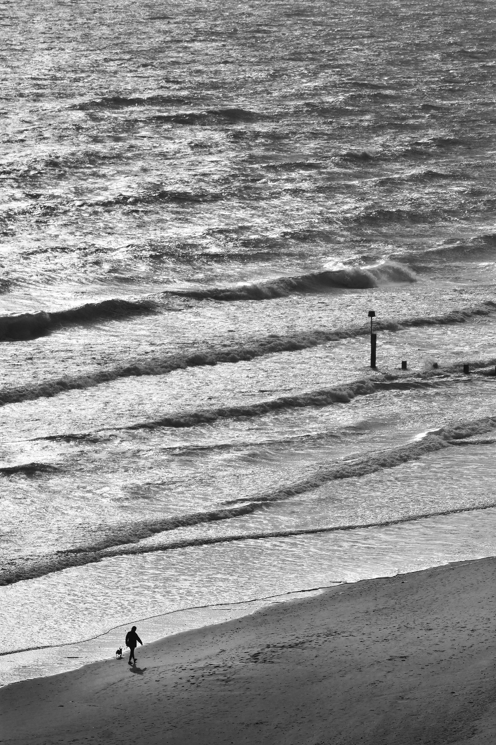 Me - My Dog - and the Sea