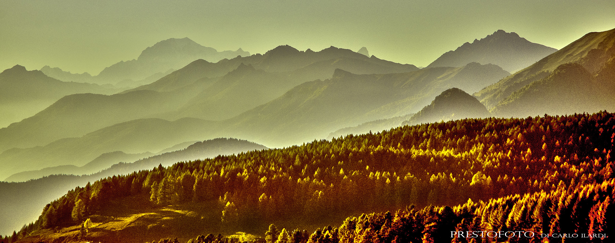 autunno (sullo sfondo il monte bianco)