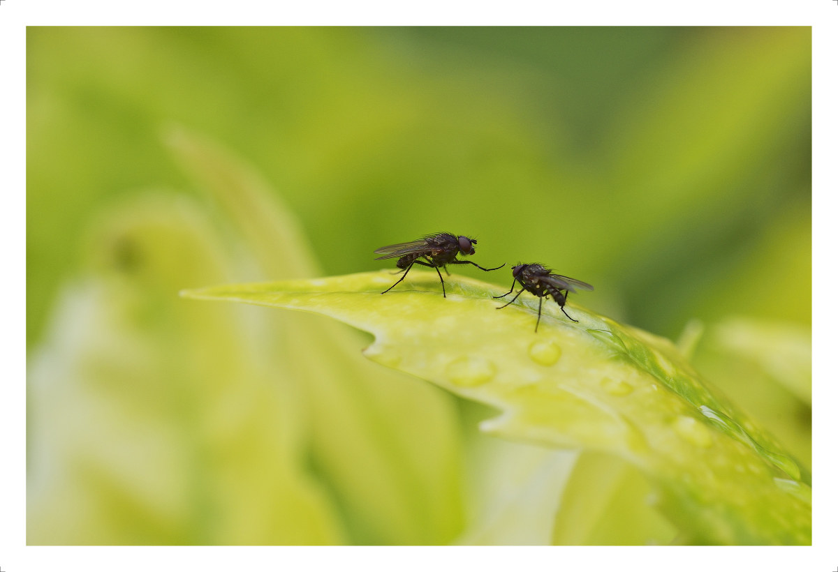 Dialogue after the rain