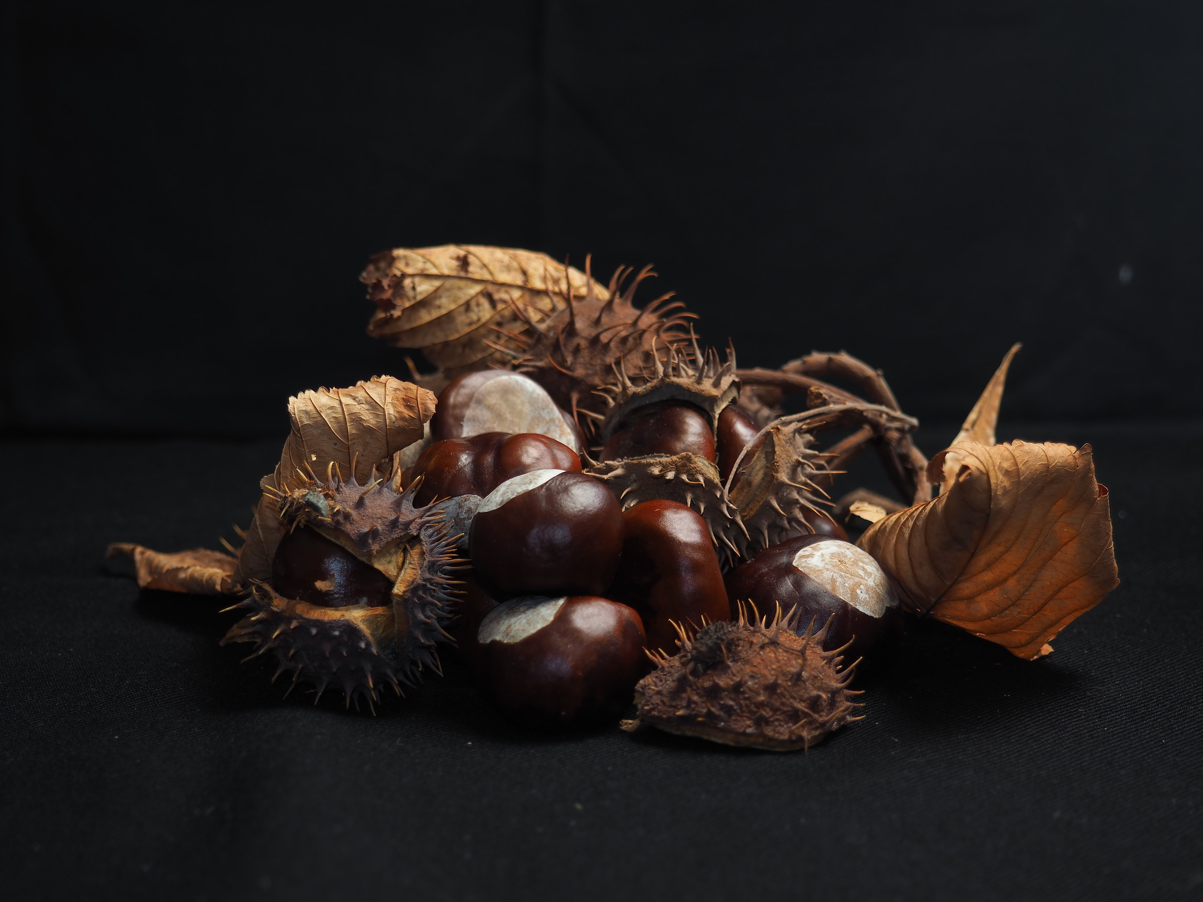 Wild chestnuts