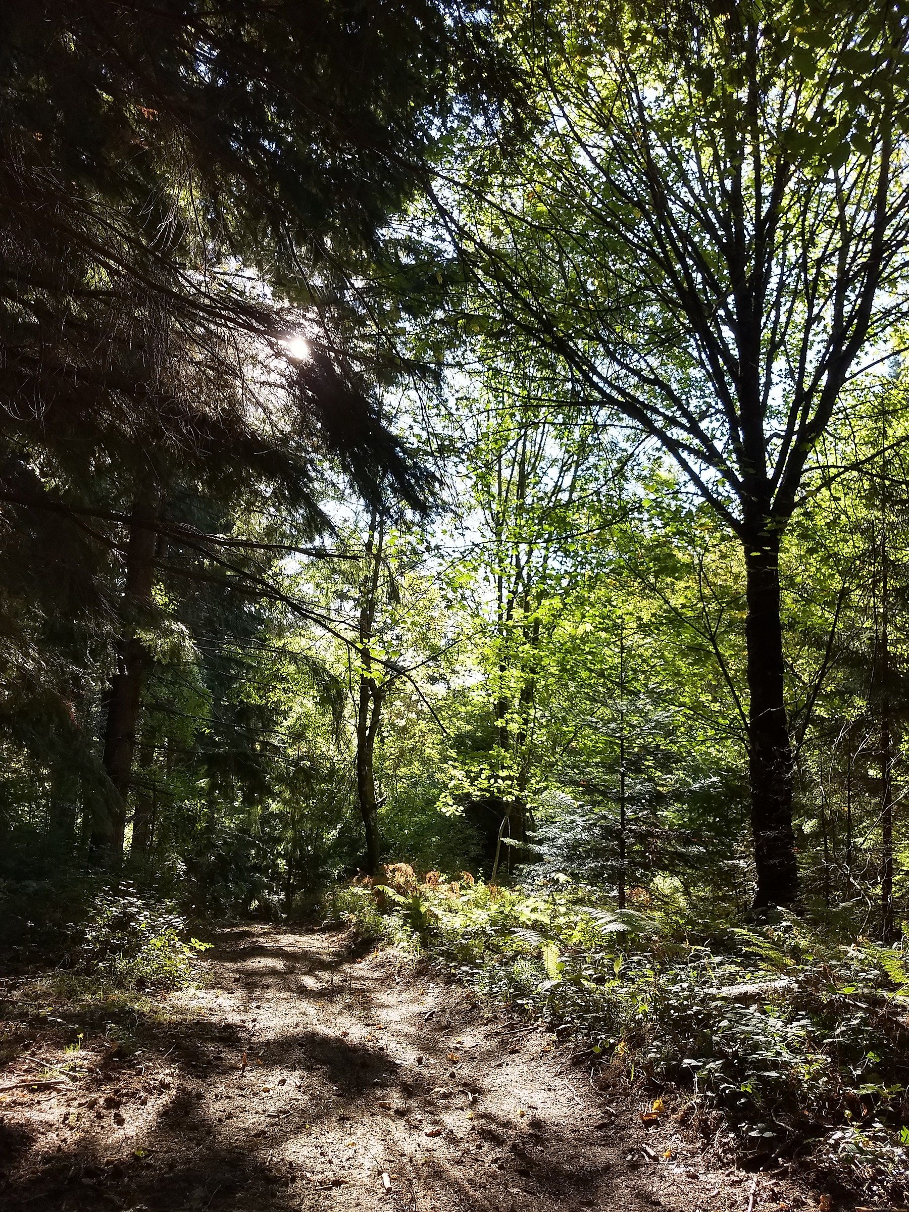 natura in controluce