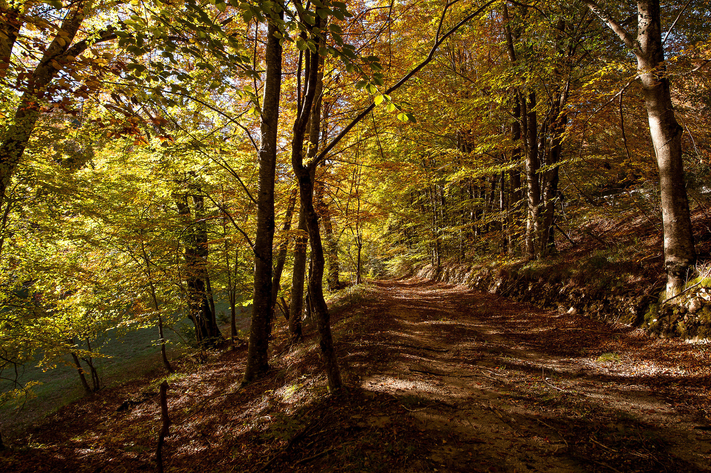 Terminillo/Leonessa (RI)-Autunno 2017