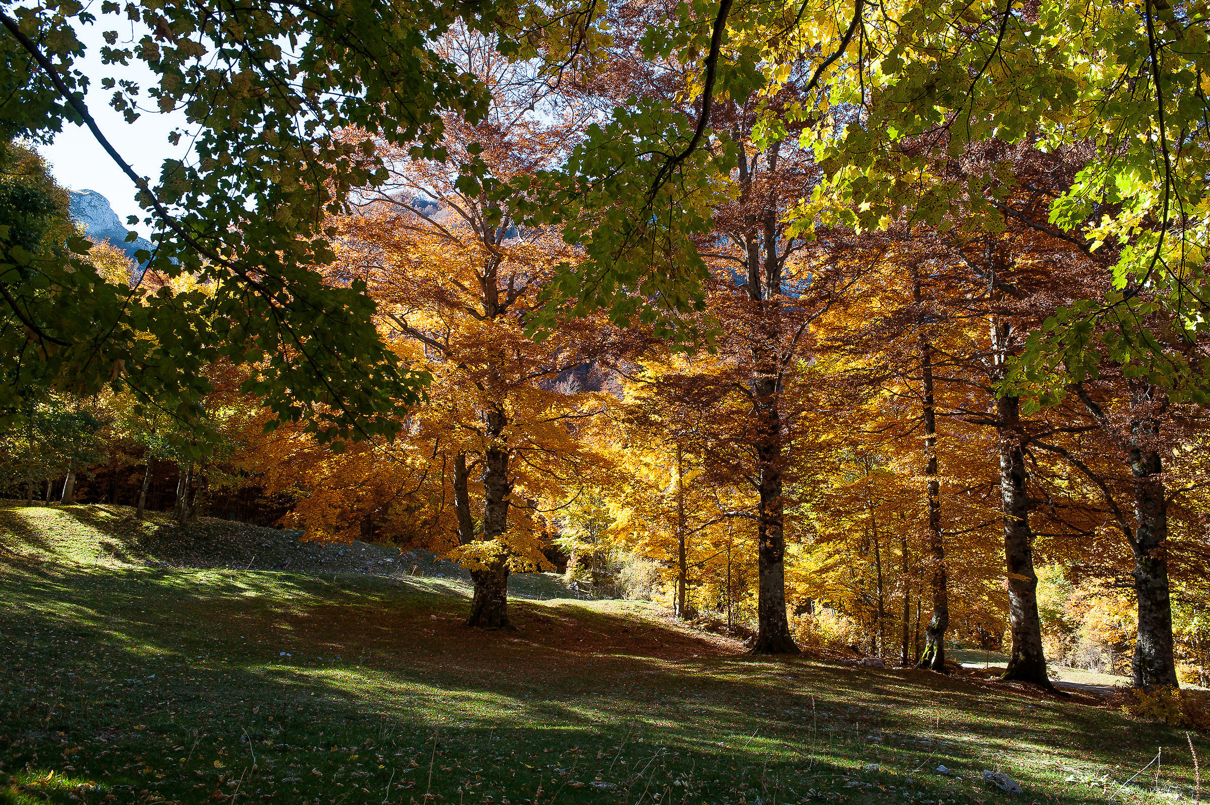 Terminillo/Leonessa (RI)-Autunno 2017
