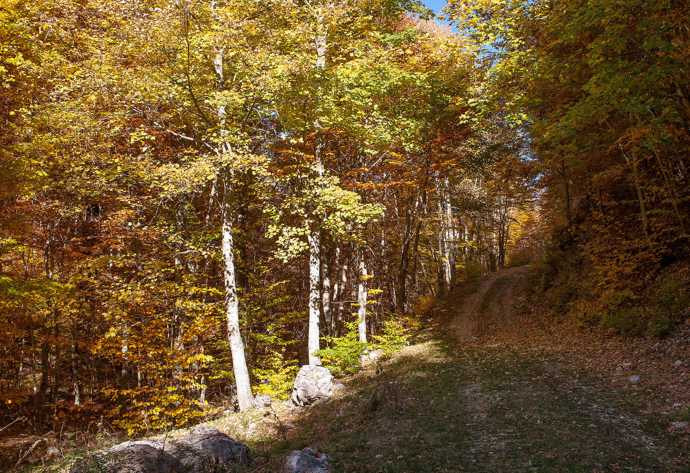 Terminillo/Leonessa (RI)-Autunno 2017
