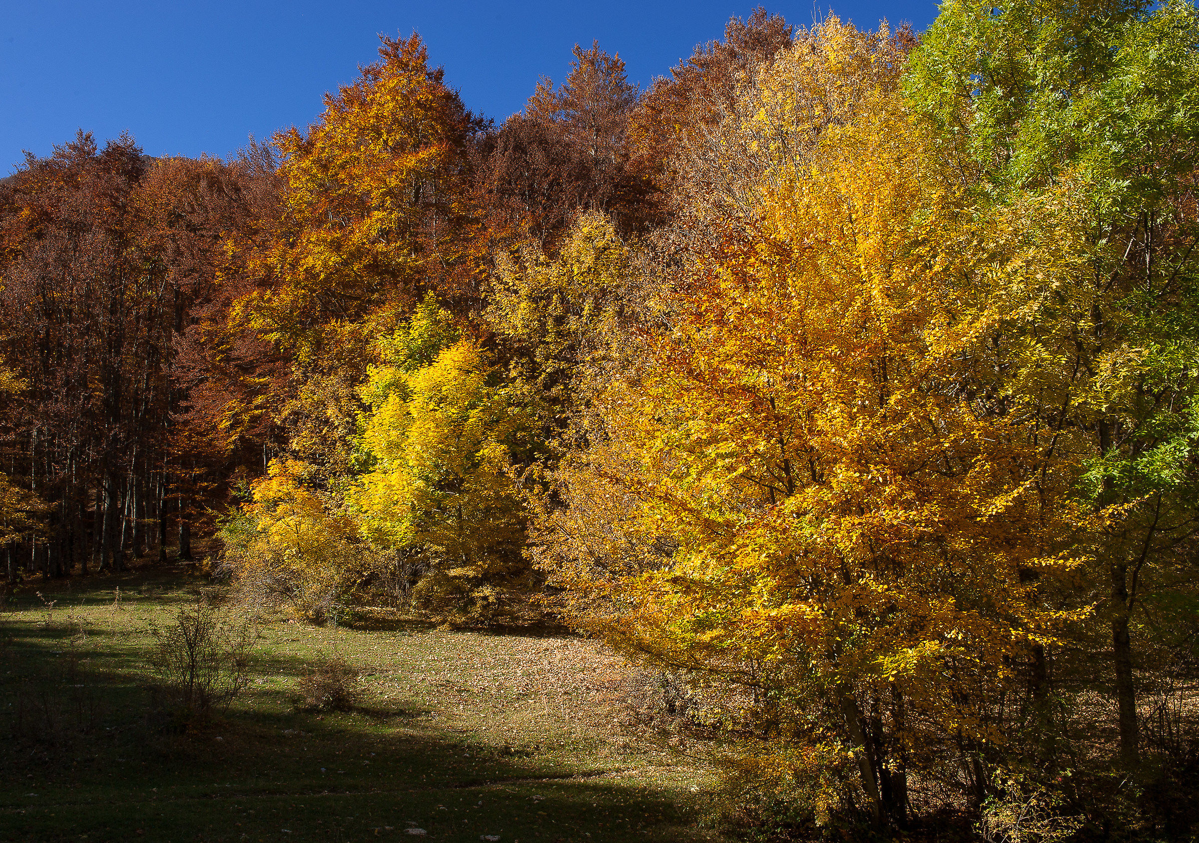 Terminillo/Leonessa (RI)-Autunno 2017