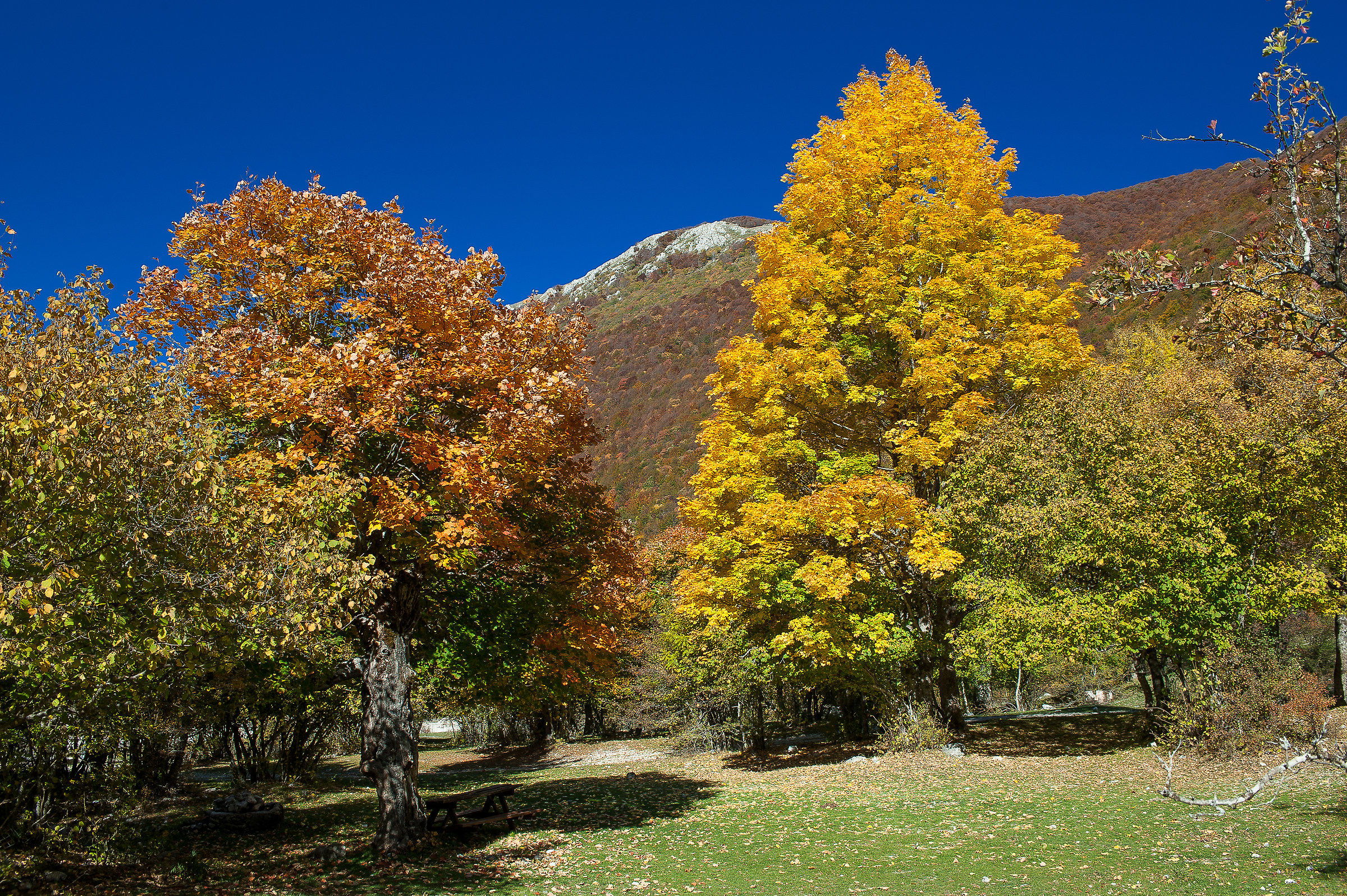 Terminillo/Leonessa (RI)-Autunno 2017