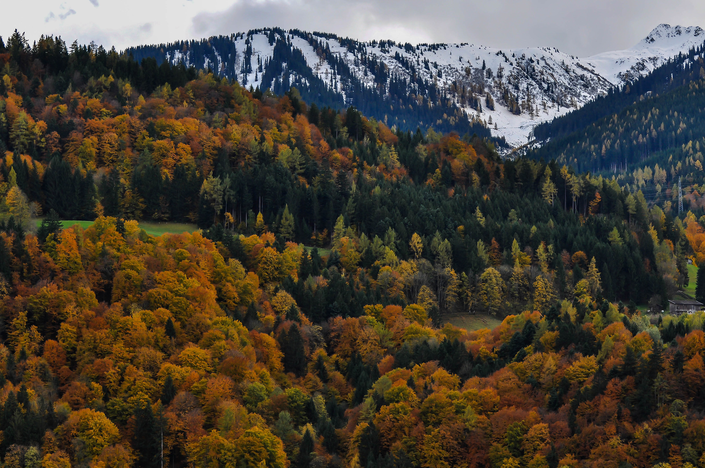 Autumn in Zillertal (A)