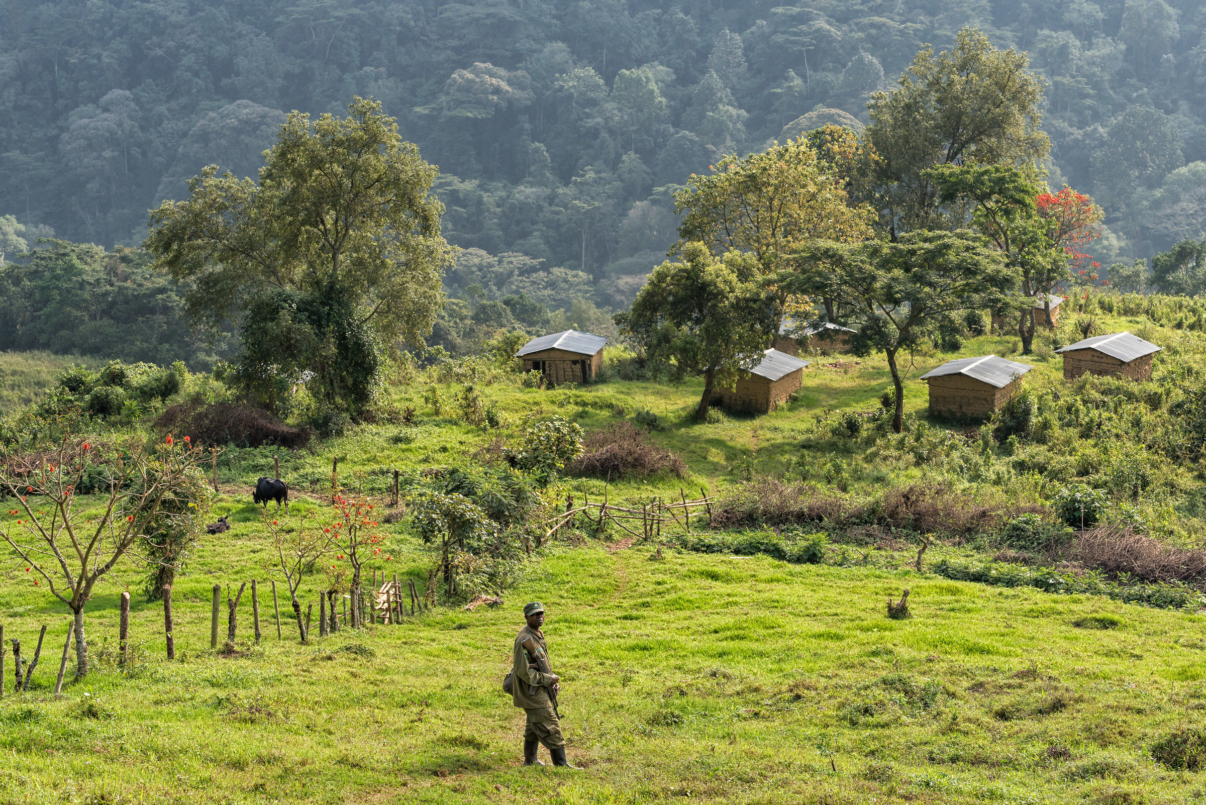 Bwindi Impenetrable Nt Park