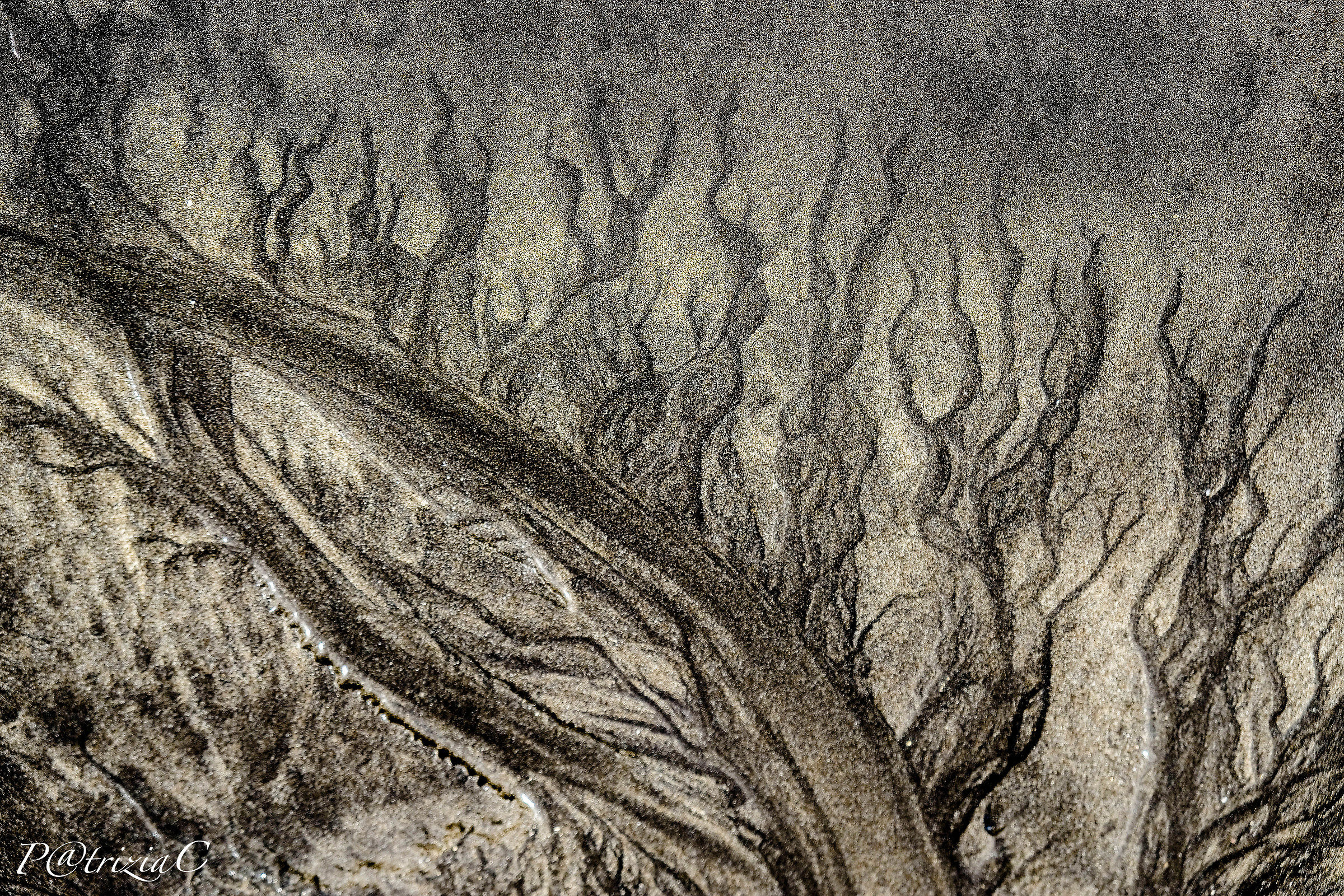 ...free interpretation  ... (1)