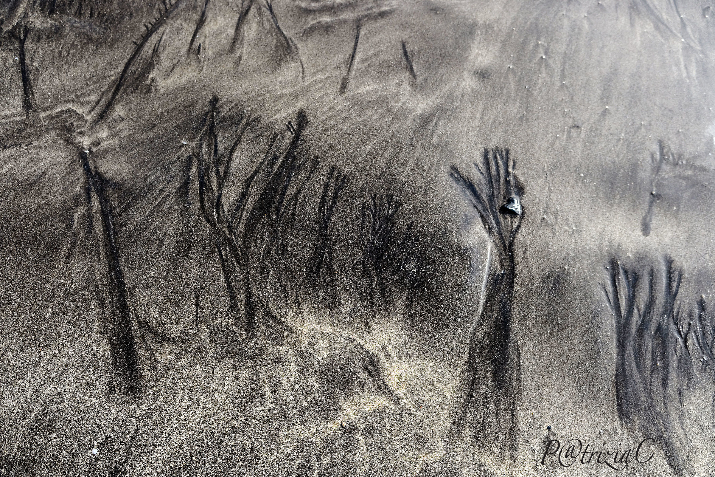 ... free interpretation ... (2)